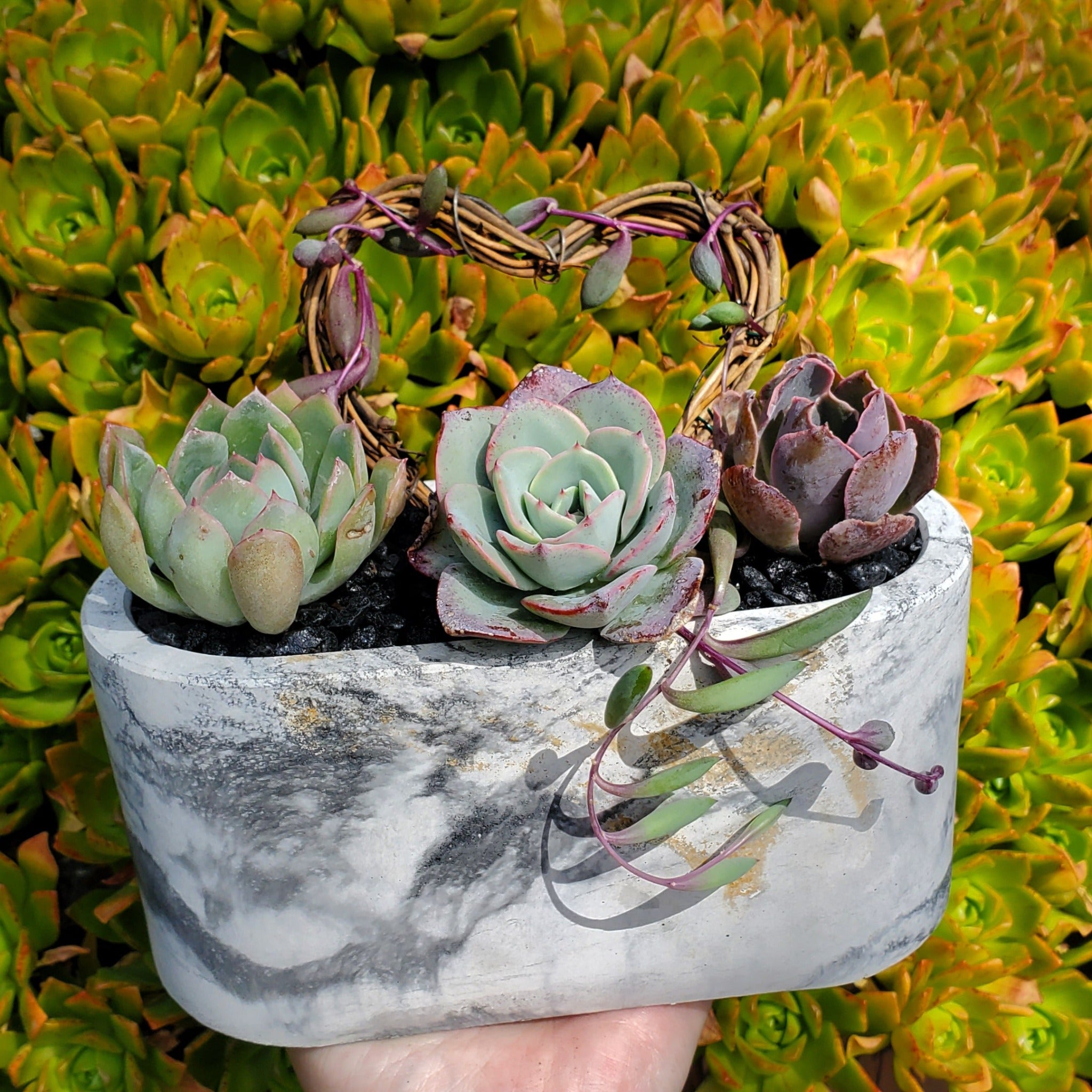 marble succulent planter Large Cement Marble Planter Trellis Arrangement