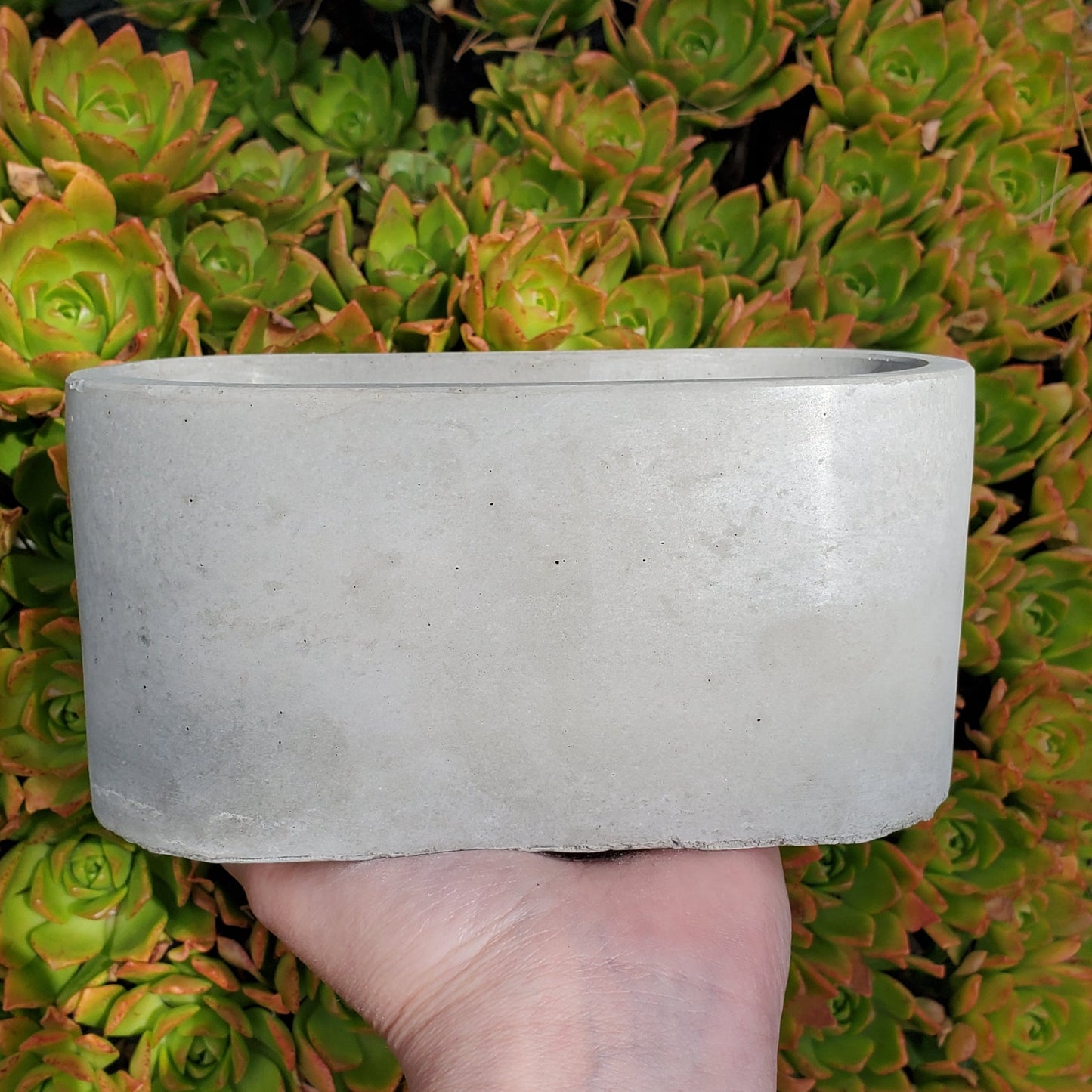 Large Oval Cement Planters