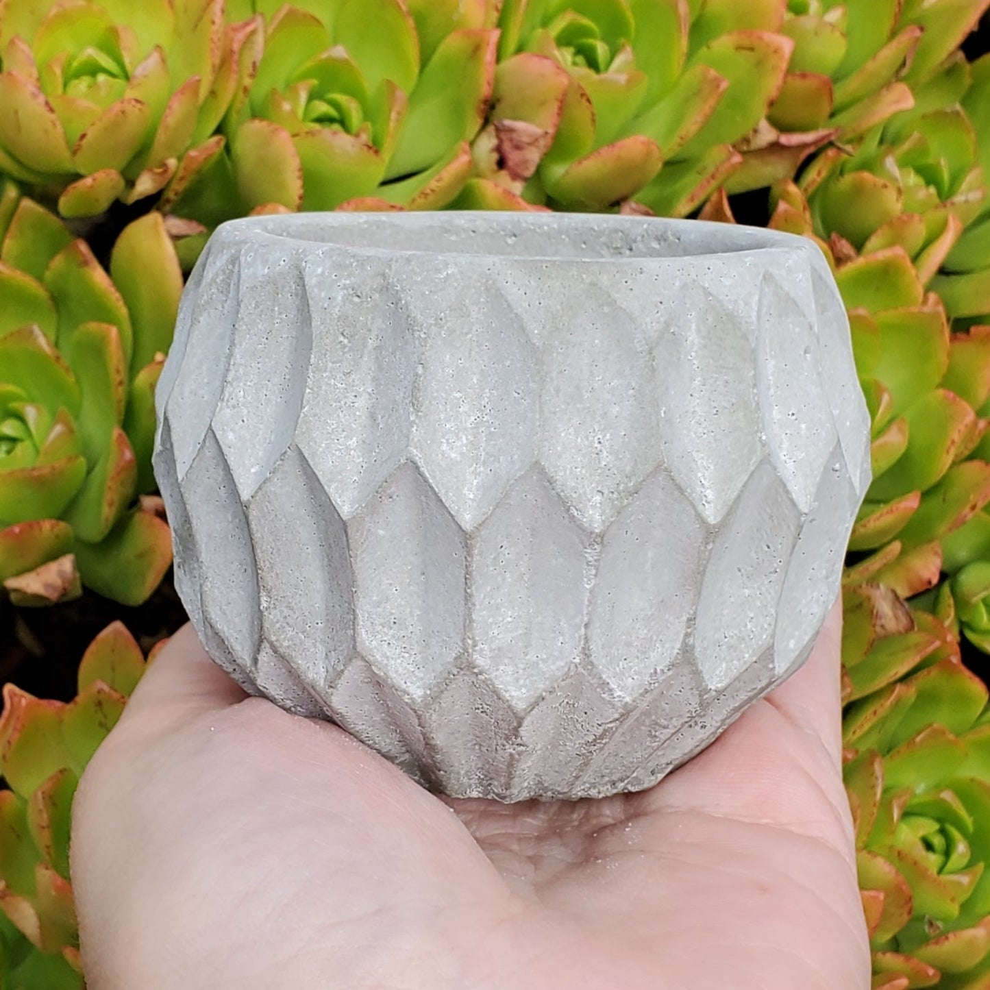 Mini Cement Planters