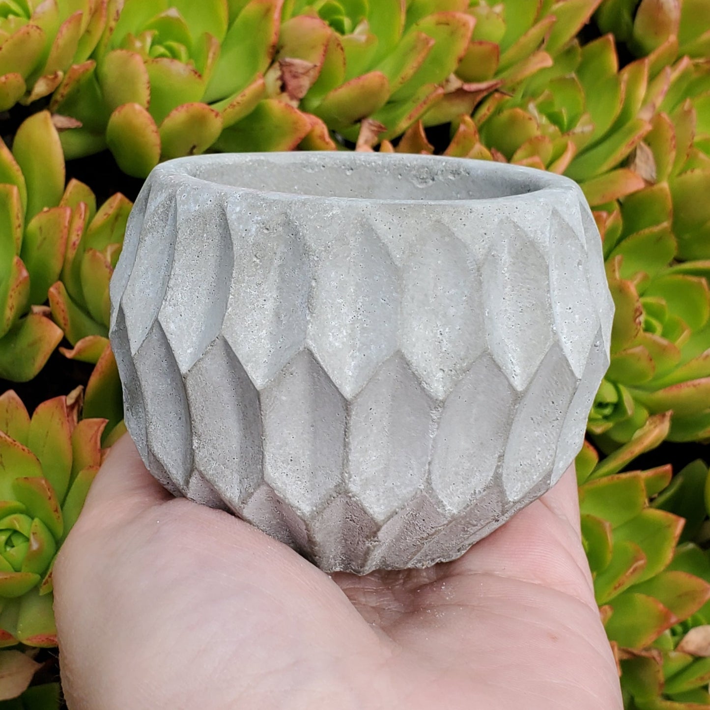 Mini Cement Planters