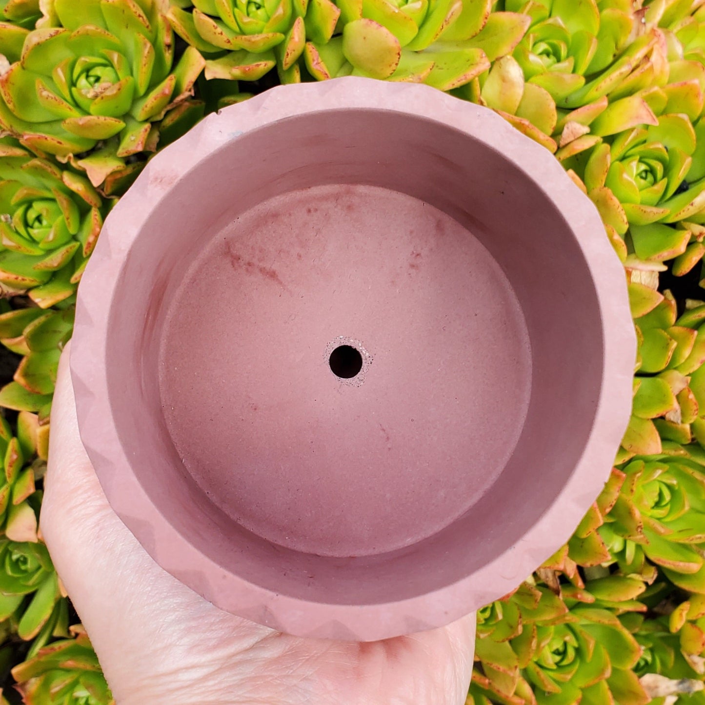 Mandala Cement Planters