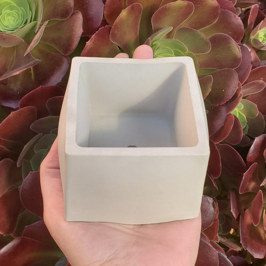 Seashell Cement Planter  Rooted in Paradise Succulent Studio – Rooted in  Paradise Succulent Studio