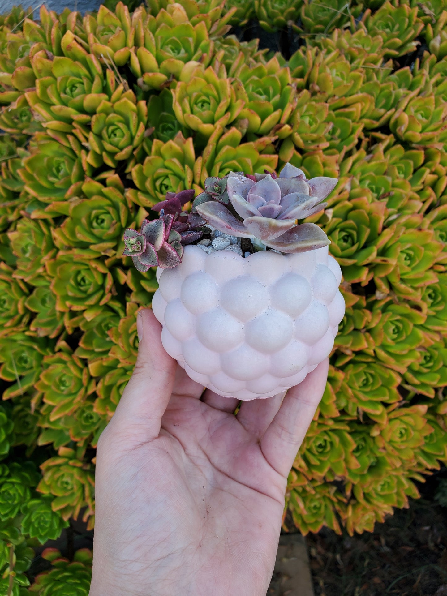 Mini Cement Planters