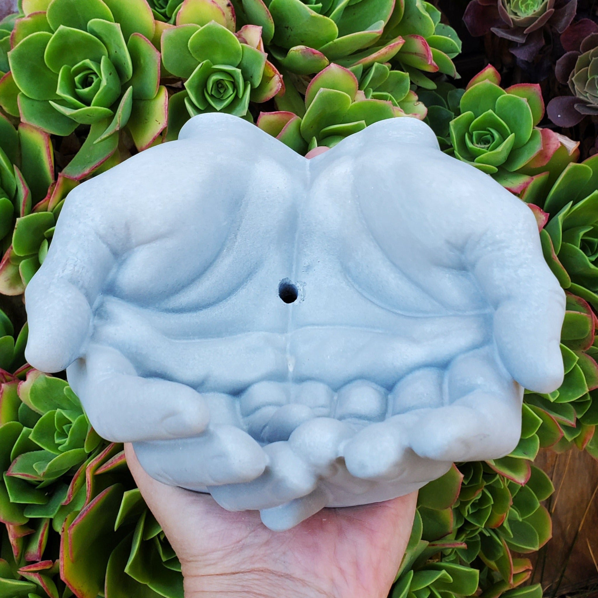hand shaped plant pot Cupped Hands Cement Planter