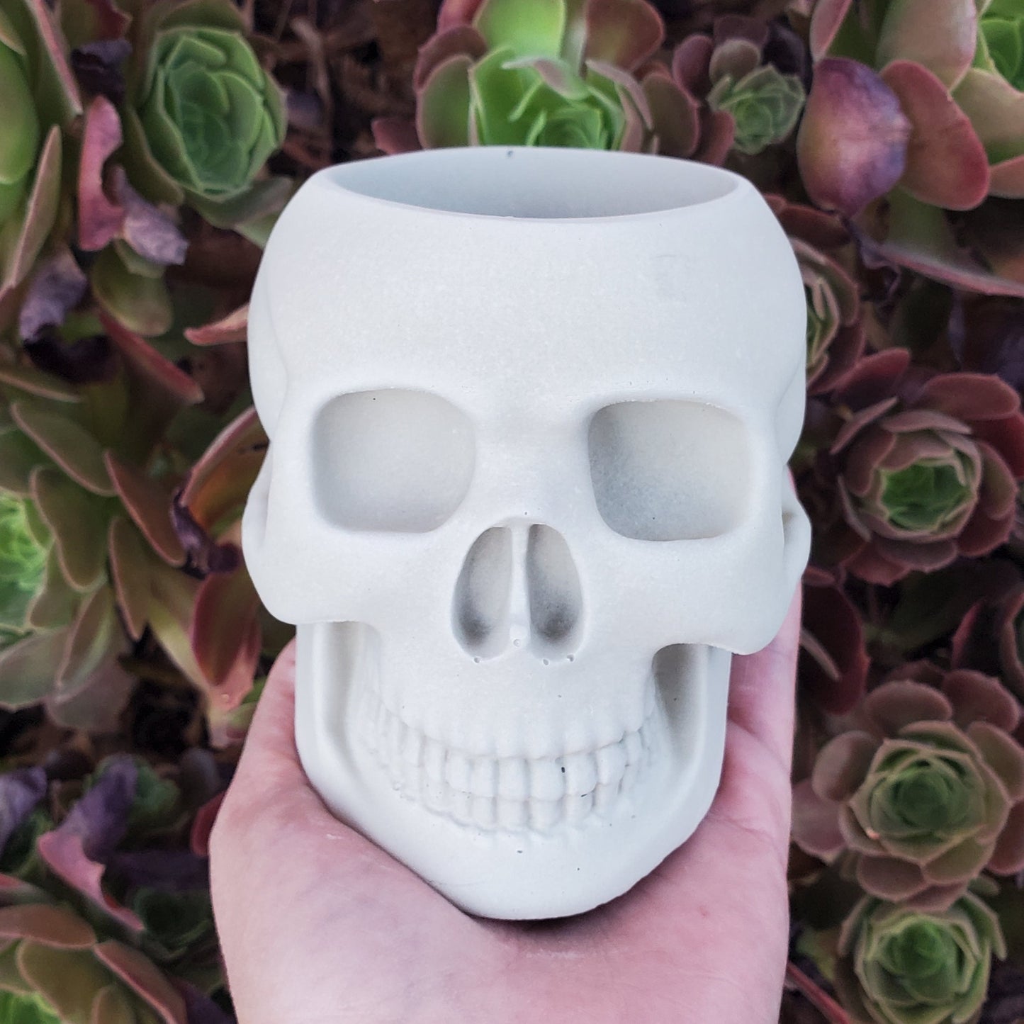 Large Skull Cement Planter