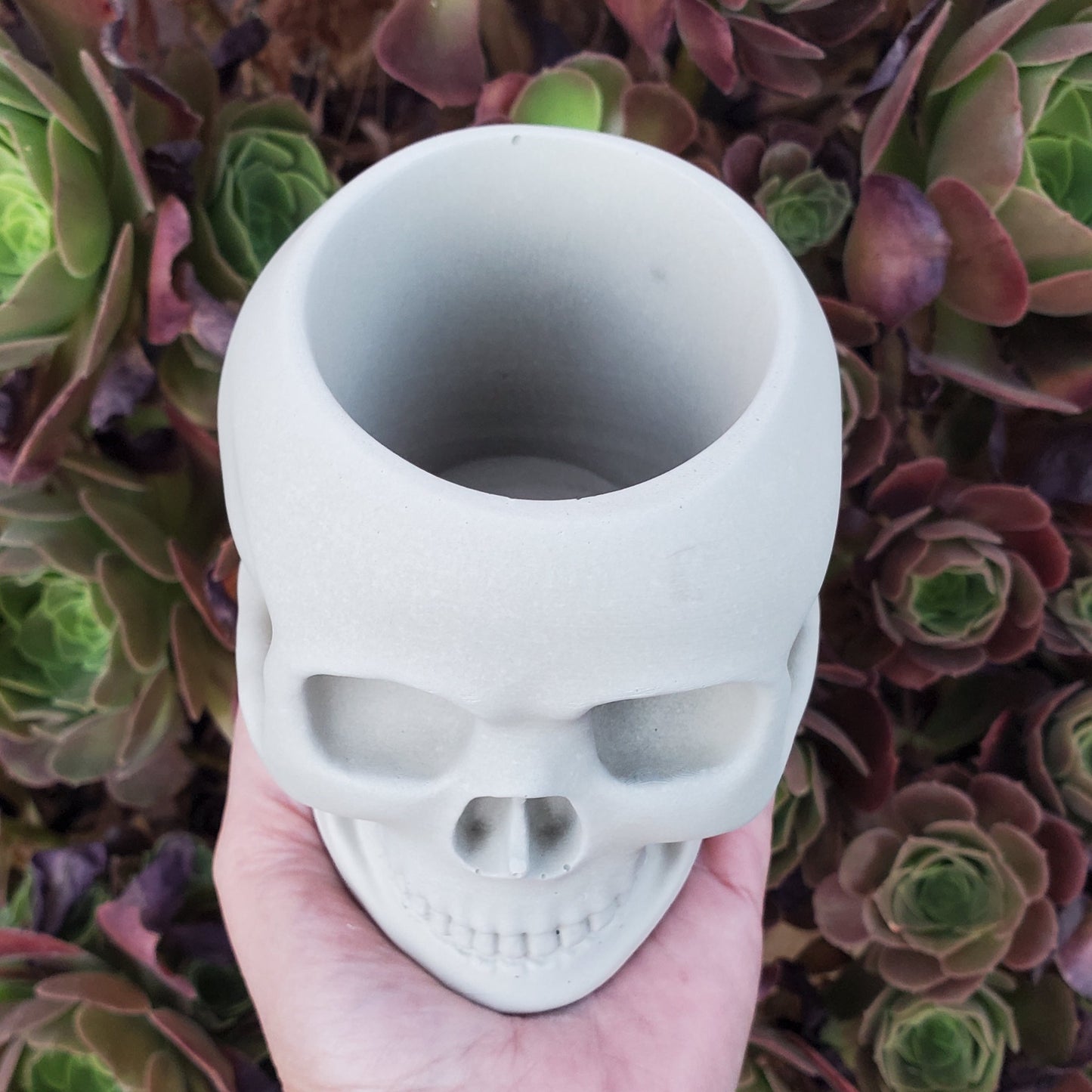 Large Skull Cement Planter