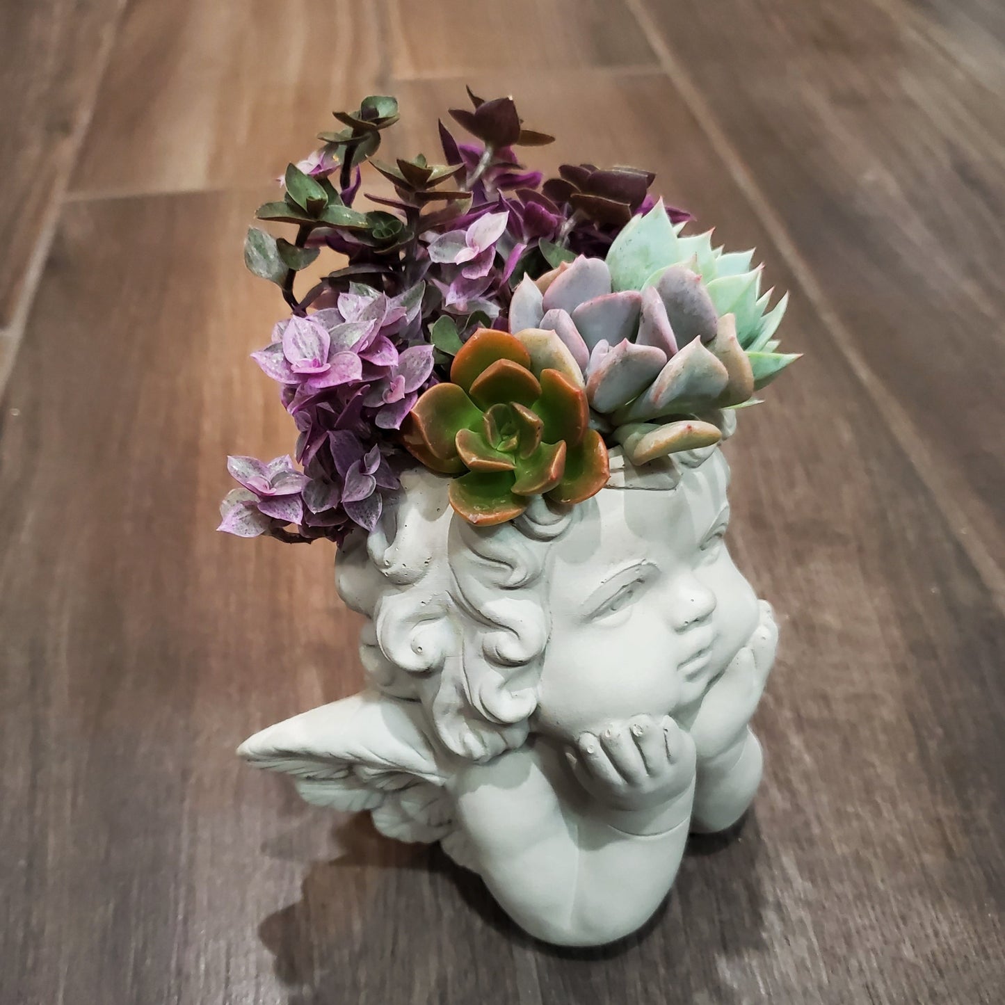 Succulent Angel Arrangement