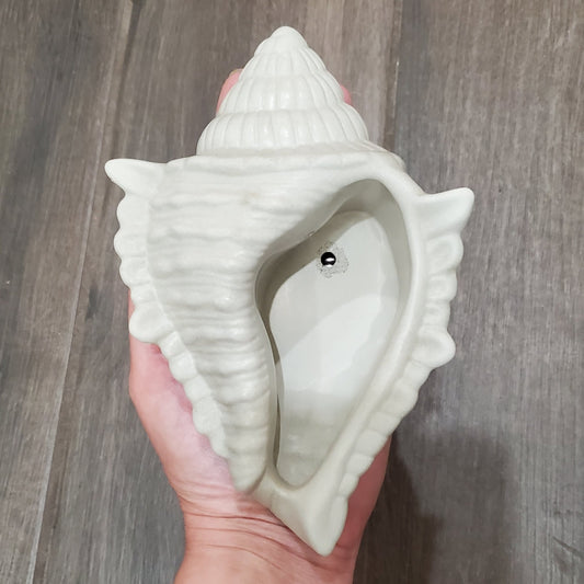 Large Seashell Cement Planter