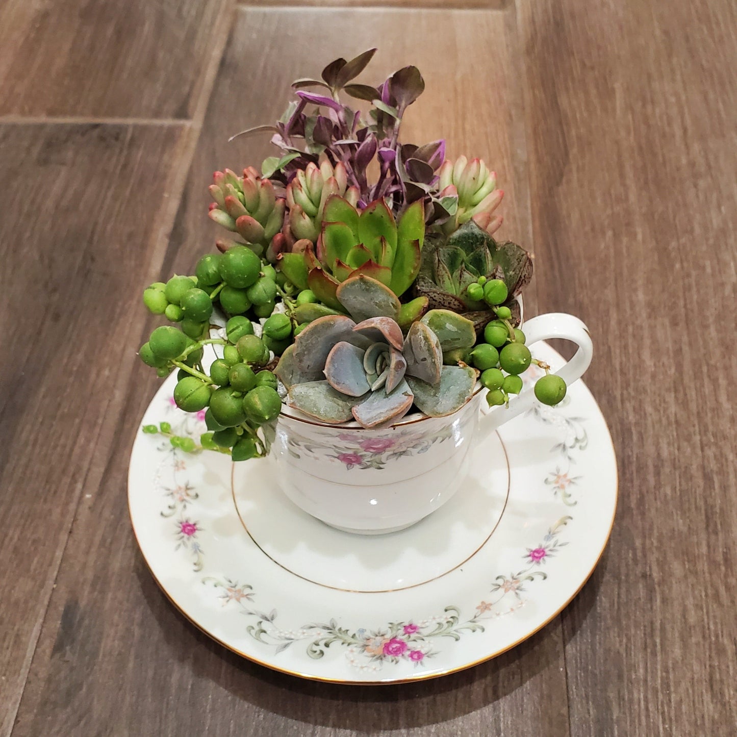 Succulent Teacup Arrangement
