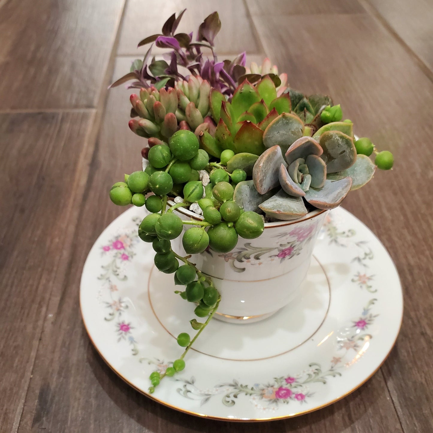planting succulents in tea cups Succulent Teacup Arrangement