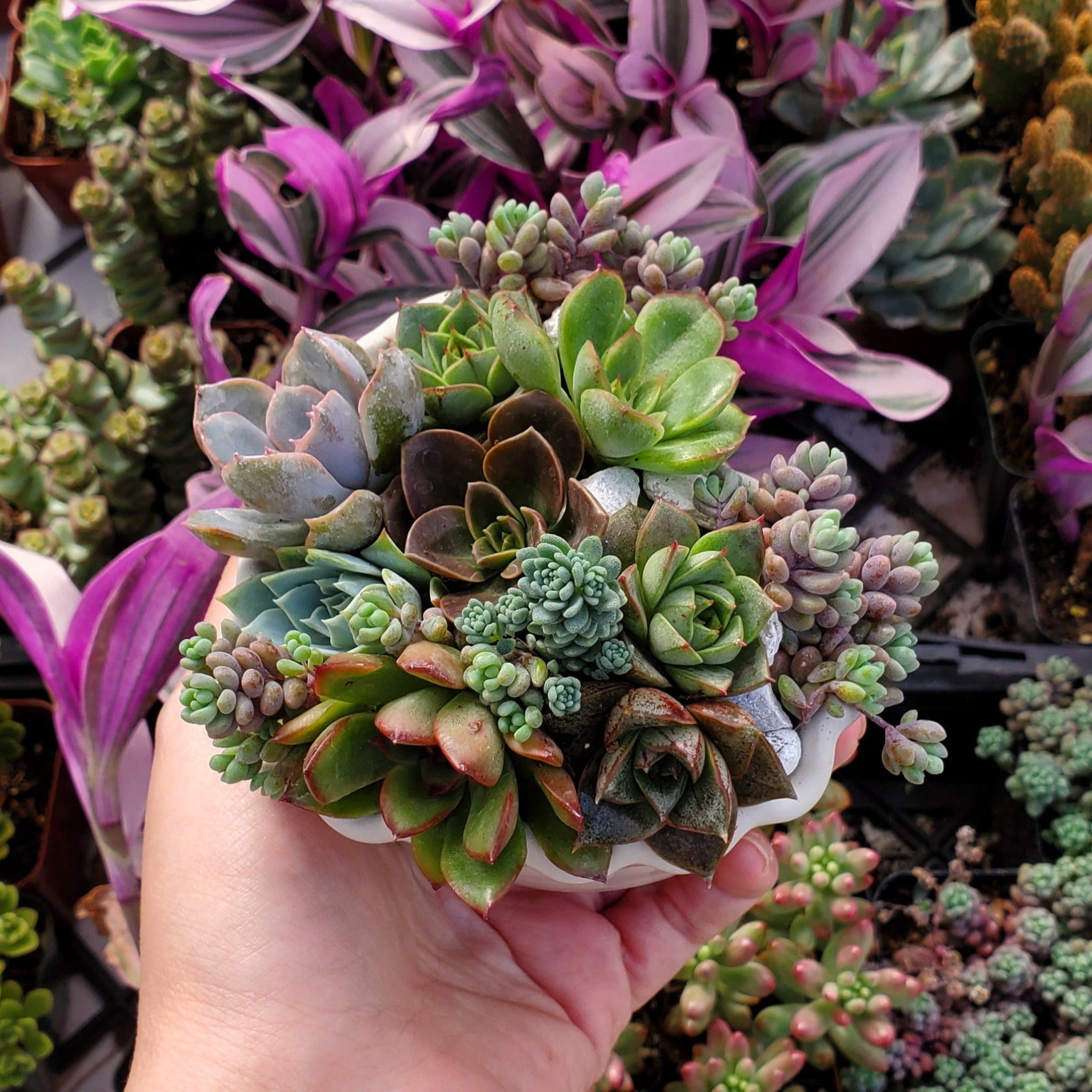 succulent centerpiece planter Heart Cement Planter Succulent Arrangement