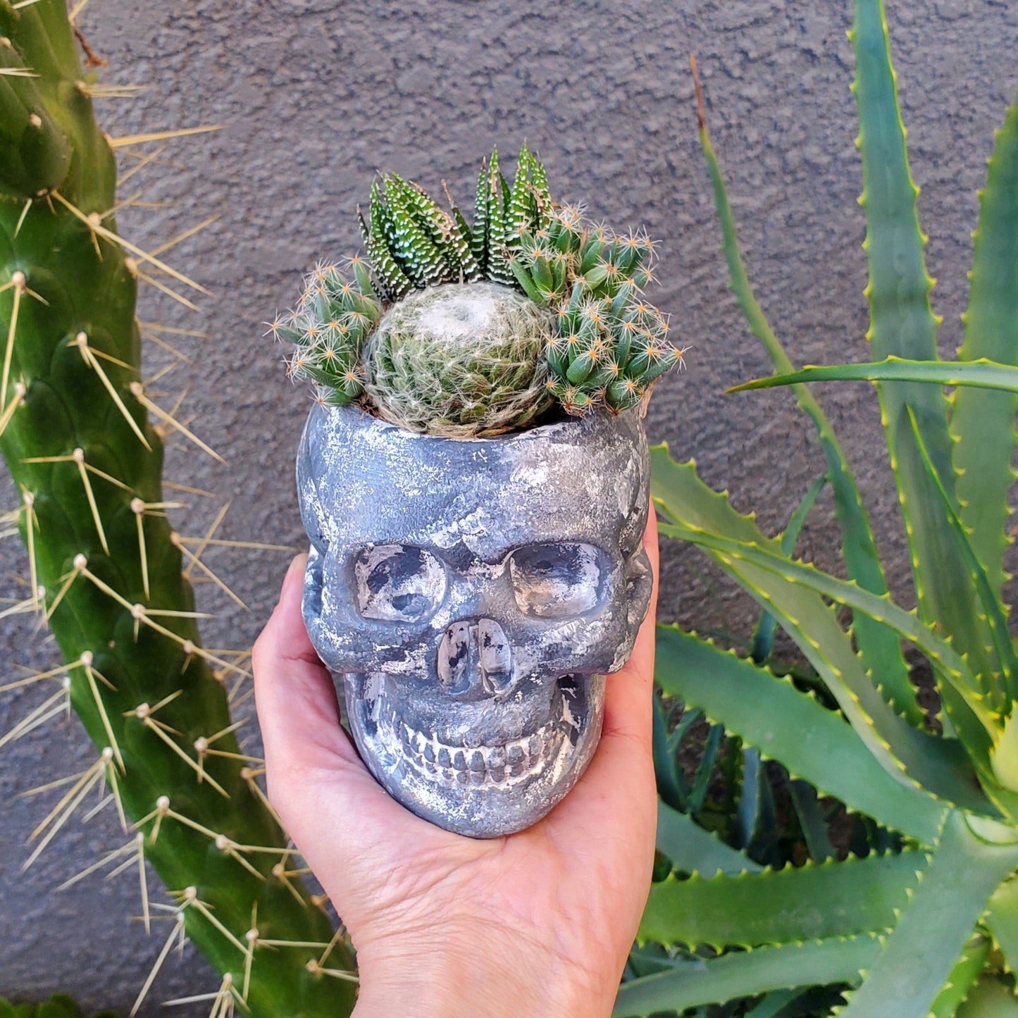 Hand Painted Skull Arrangement