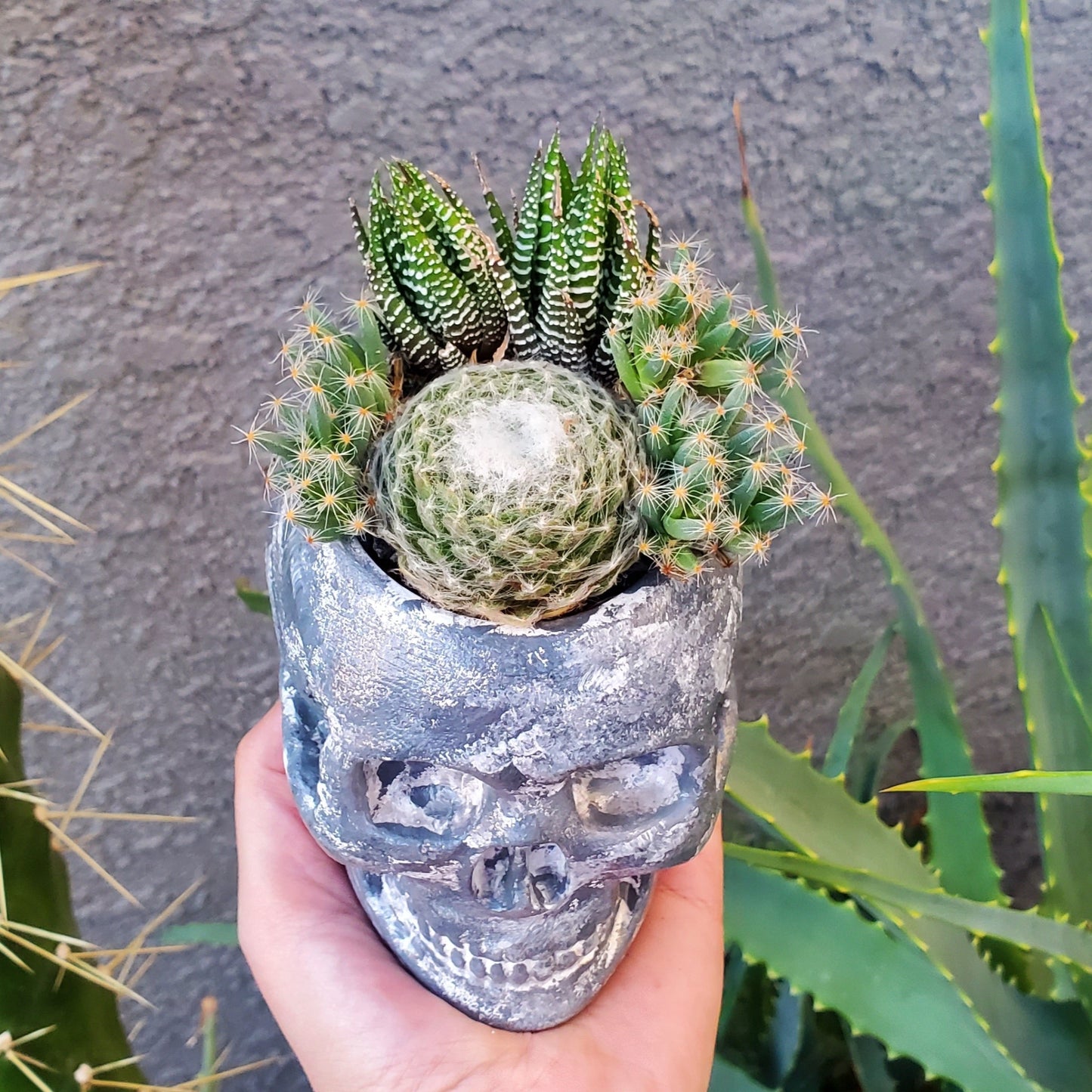 Hand Painted Skull Arrangement