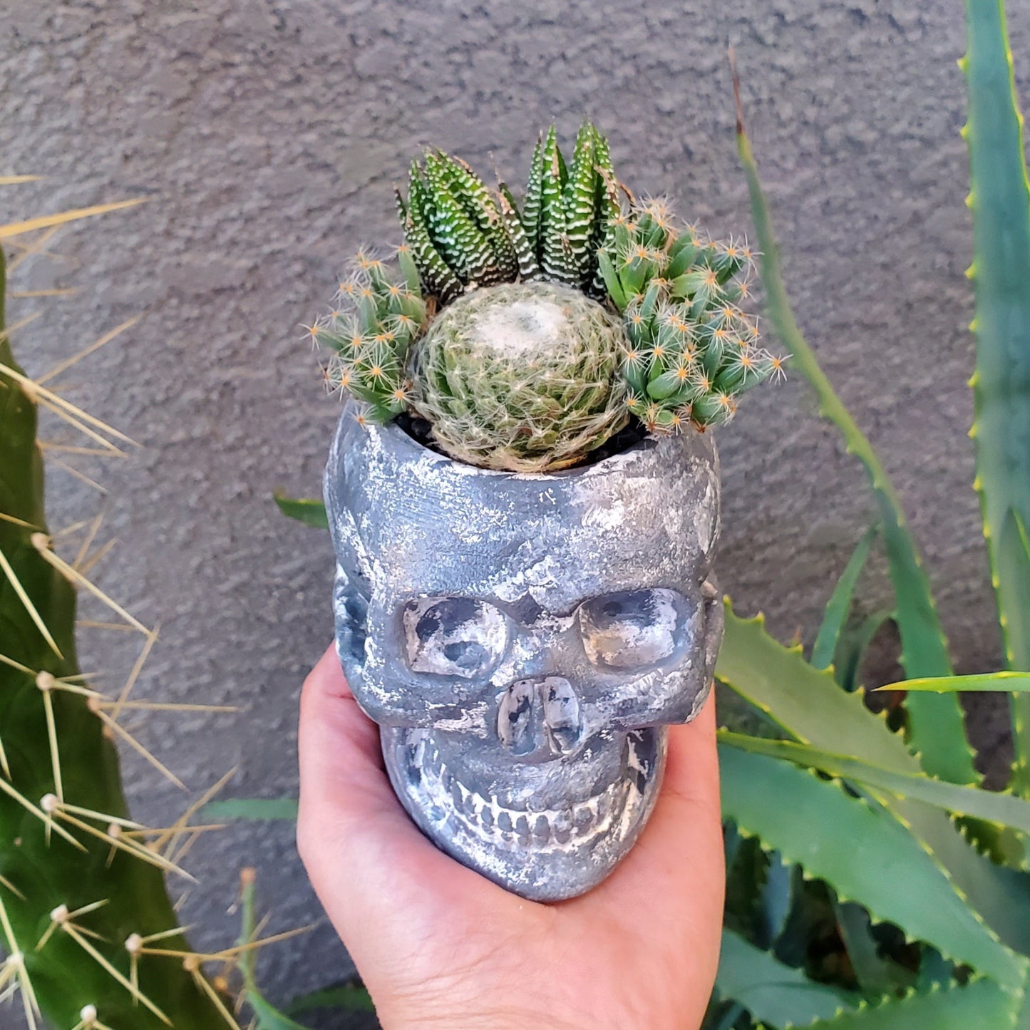 Hand Painted Skull Arrangement