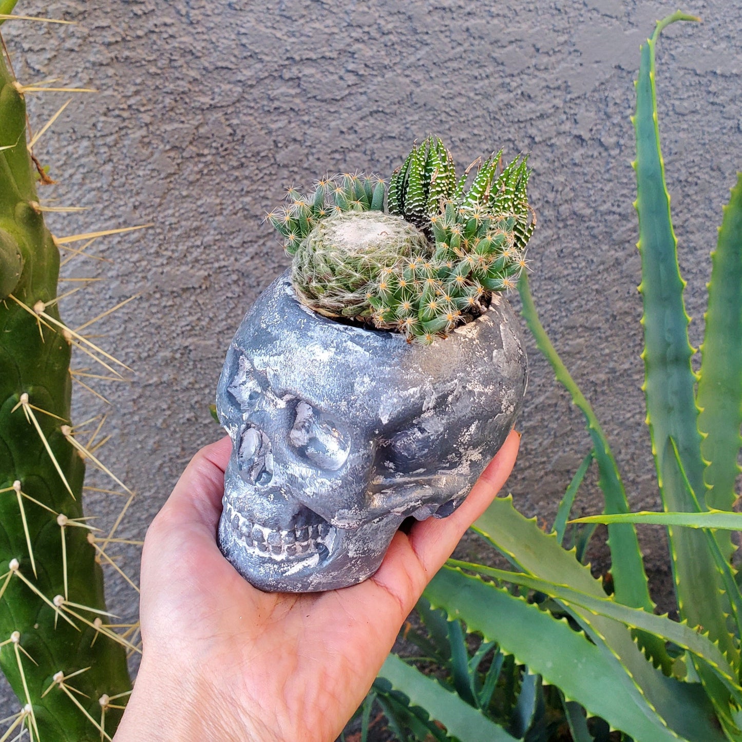 Hand Painted Skull Arrangement