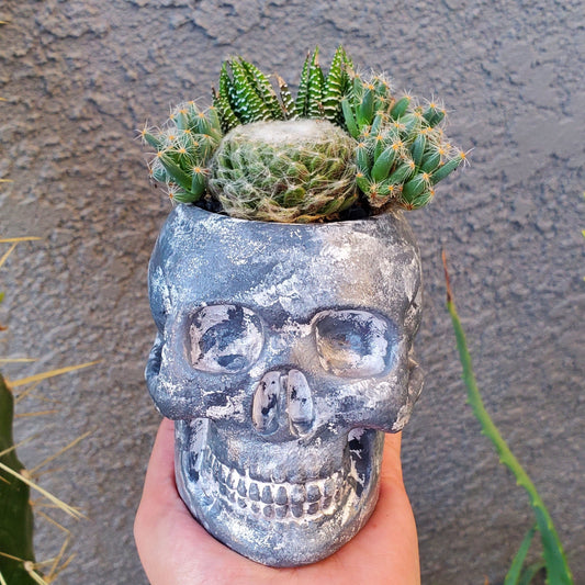 Hand Painted Skull Arrangement