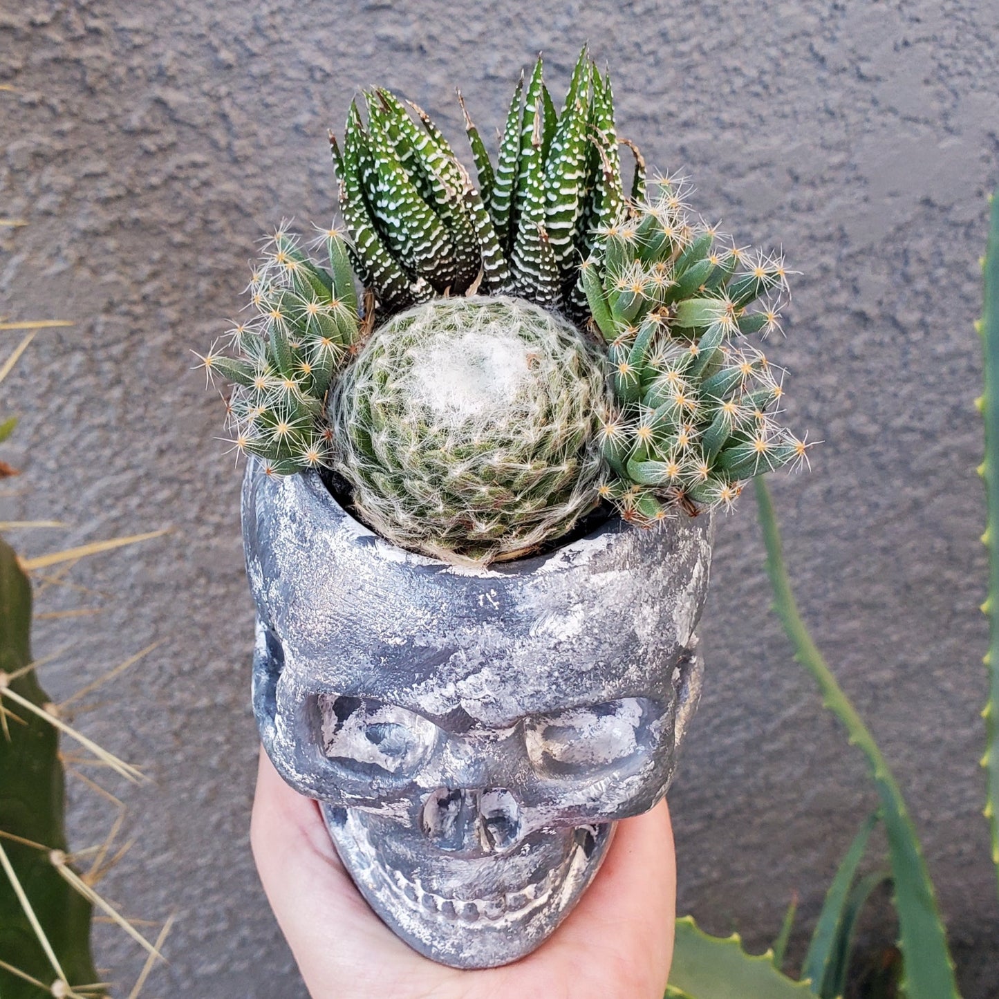 Hand Painted Skull Arrangement