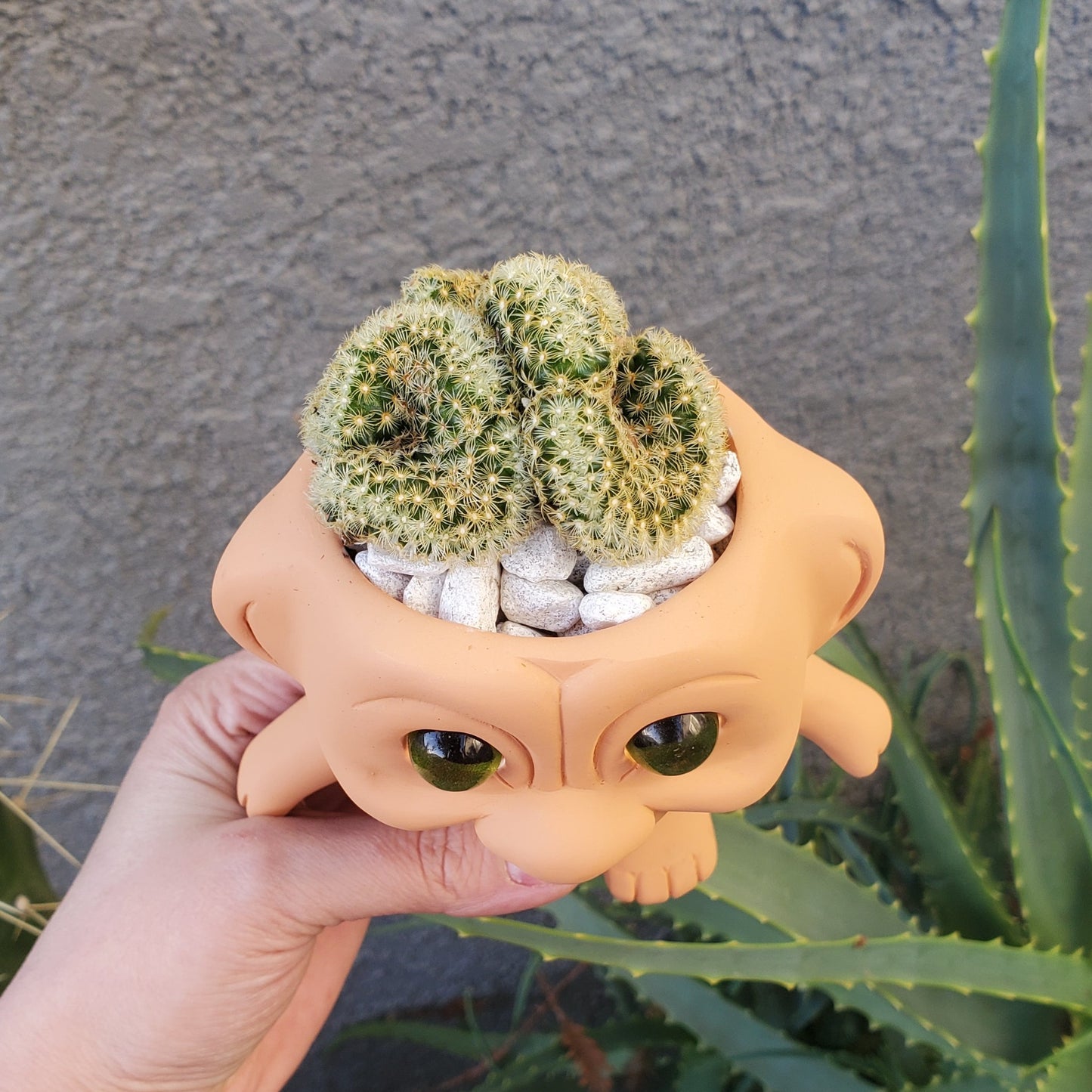 troll succulent planter Brain Cactus' Troll Arrangement