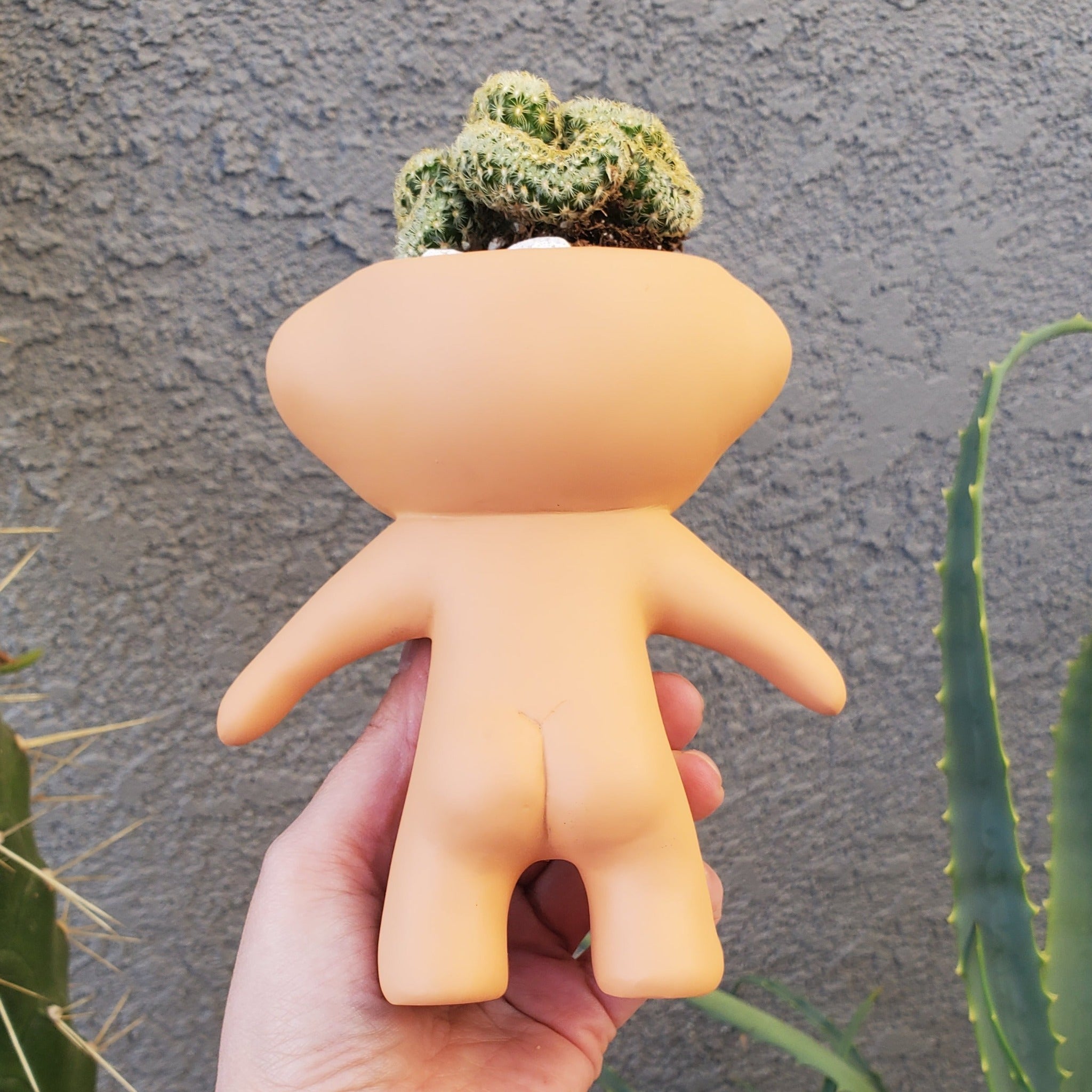 troll succulent planter Brain Cactus' Troll Arrangement