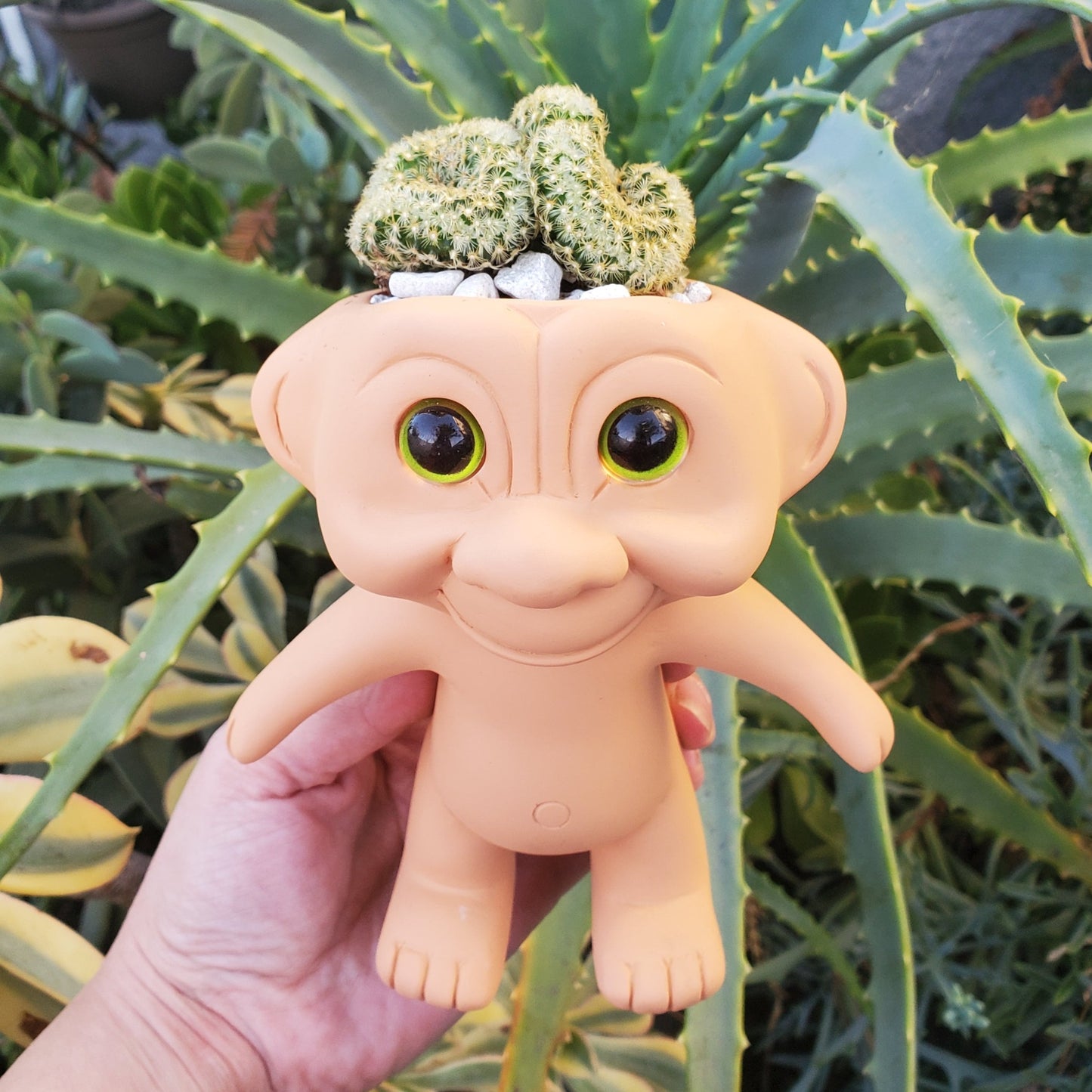 troll succulent Brain Cactus' Troll Arrangement