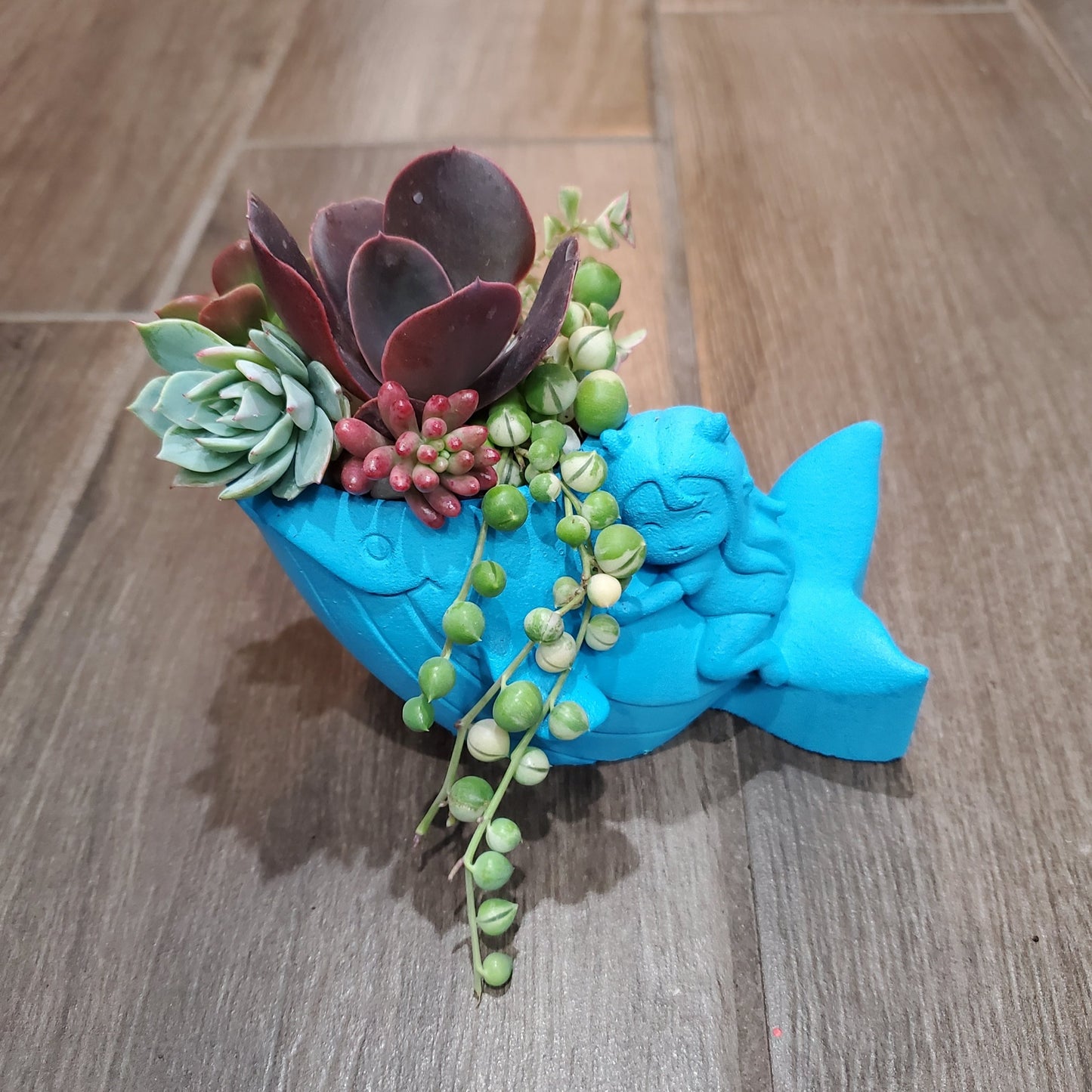 Whale Planter Arrangement