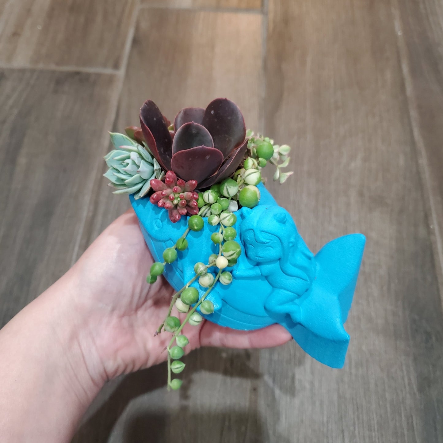 Whale Planter Arrangement