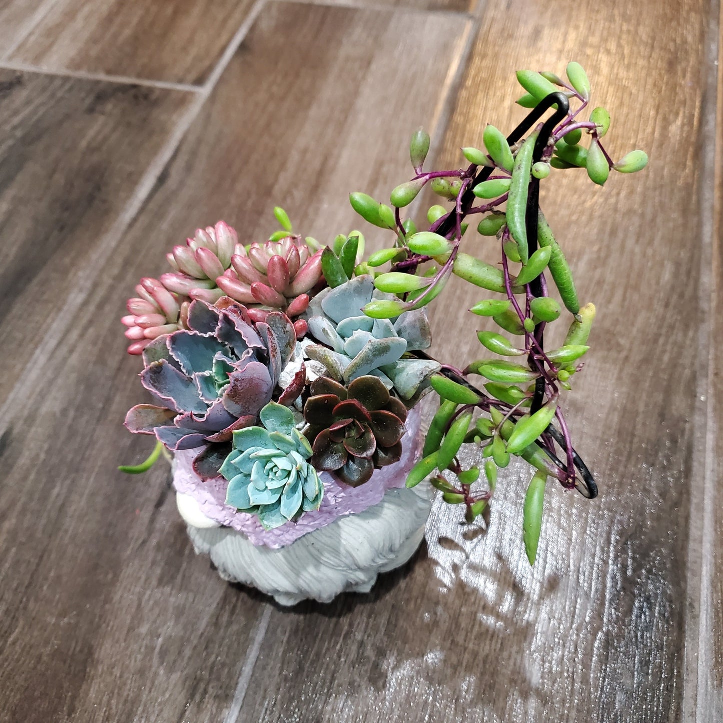 Succulent Trellis Gnome Arrangement