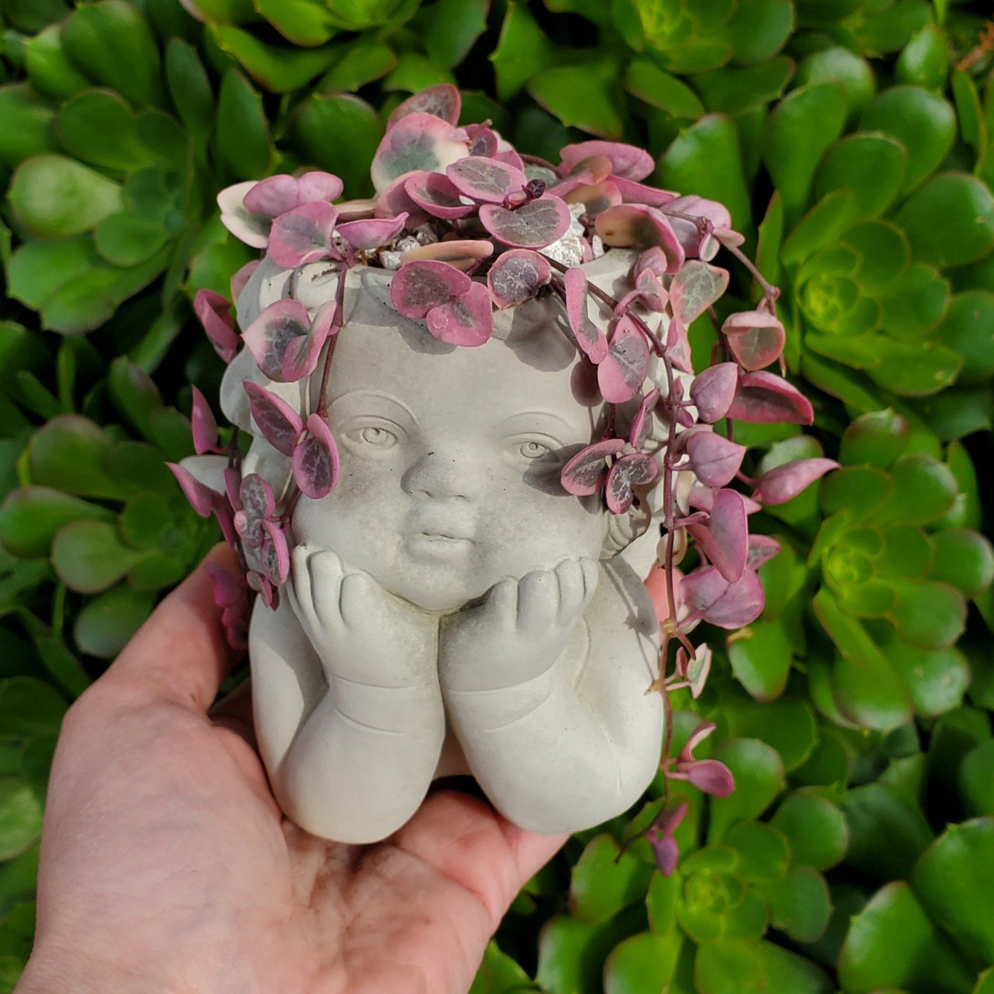 'Variegated String of Hearts' Angel Arrangement