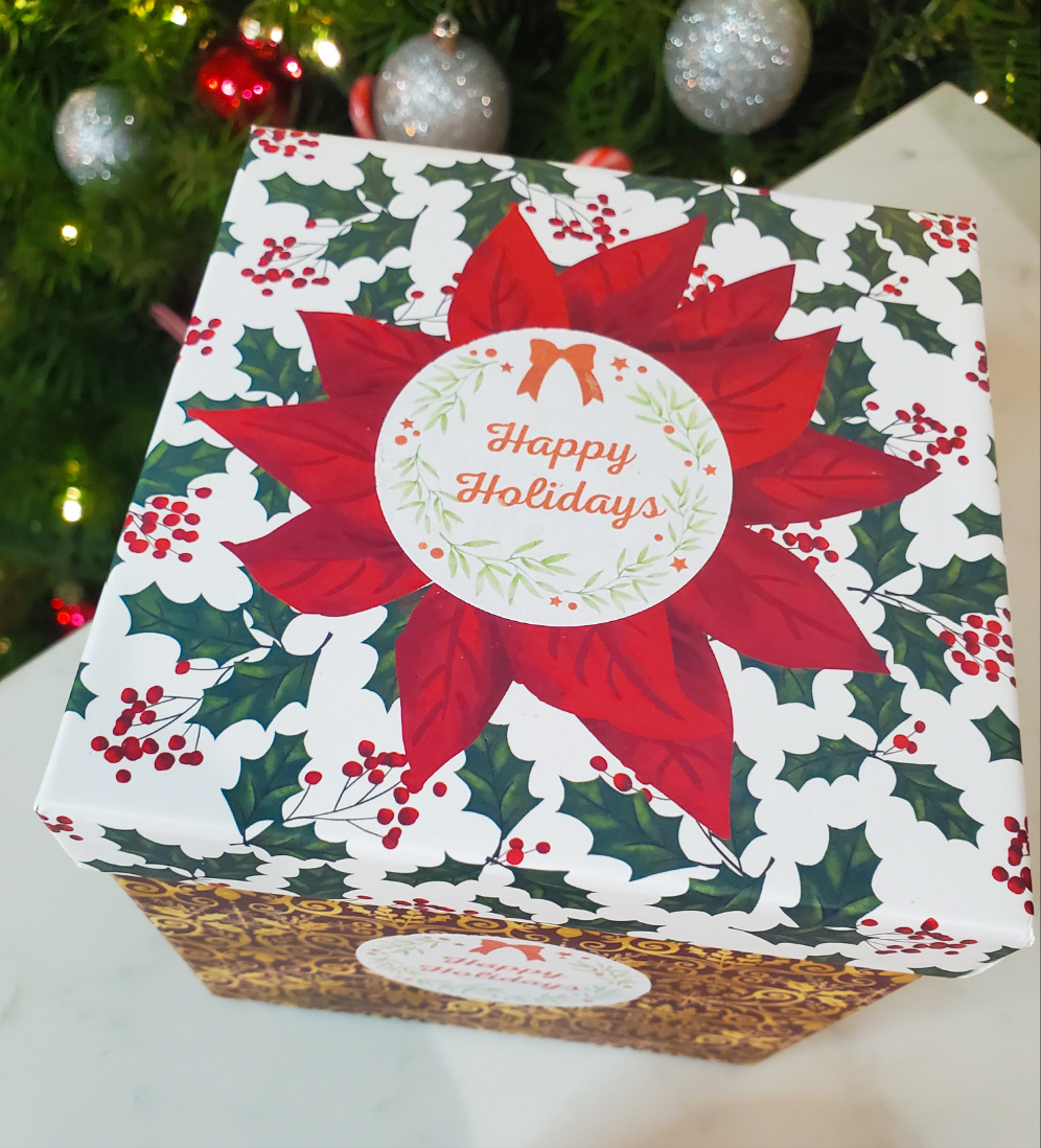 succulent holiday gift Holiday Succulent Gift Box