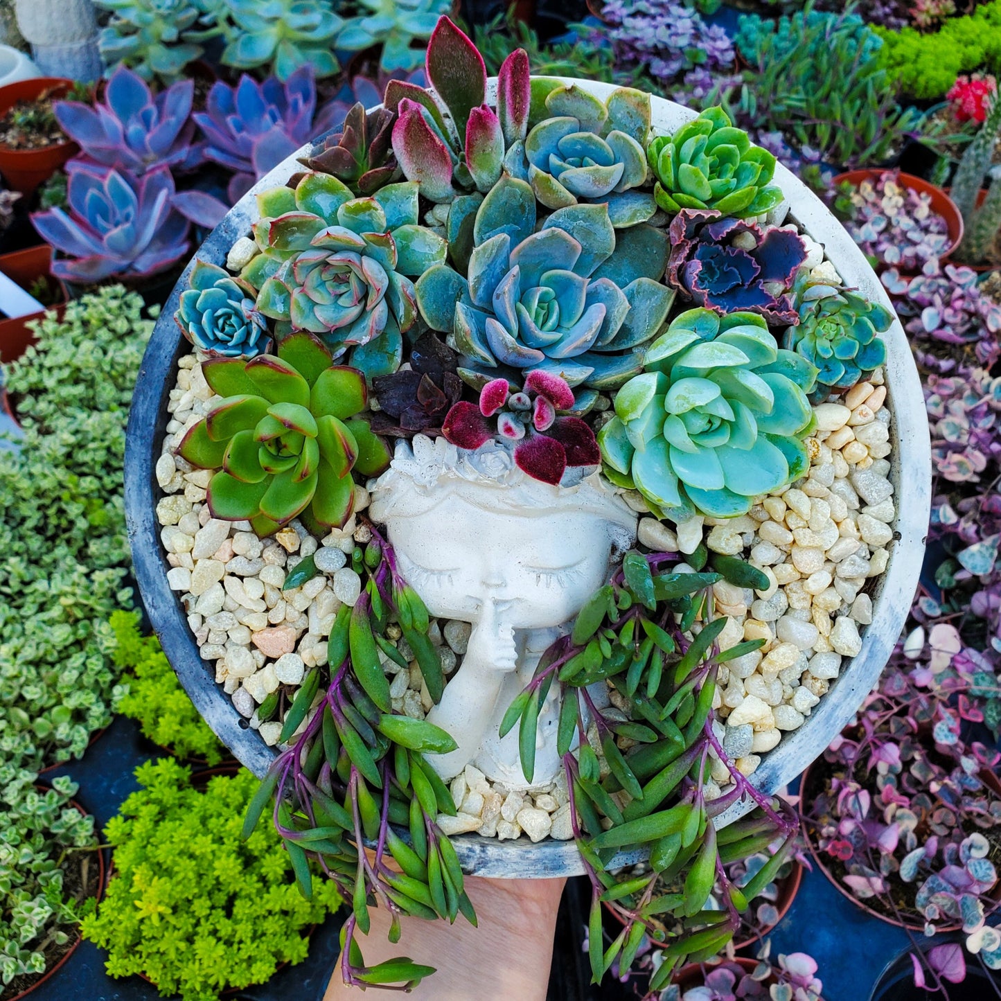 Large Circle Peaceful Girl Succulent Arrangement