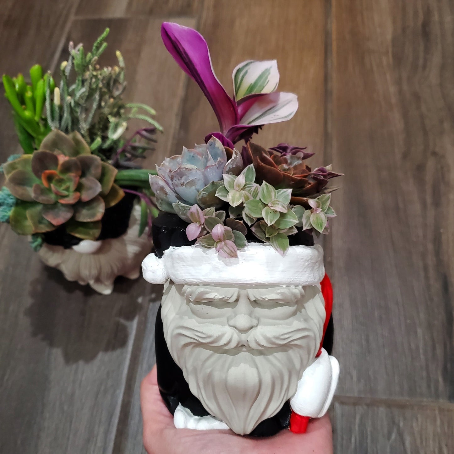 christmas succulent arrangement ideas Succulent Santa Arrangement