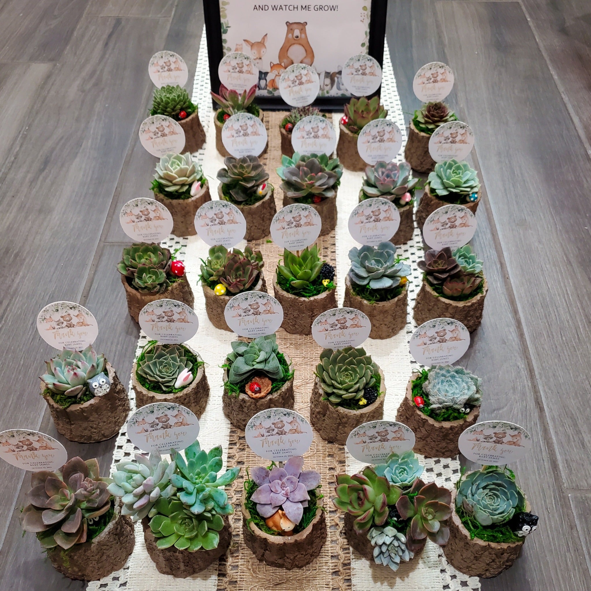 succulent themed gifts Woodland Themed Succulent Favors