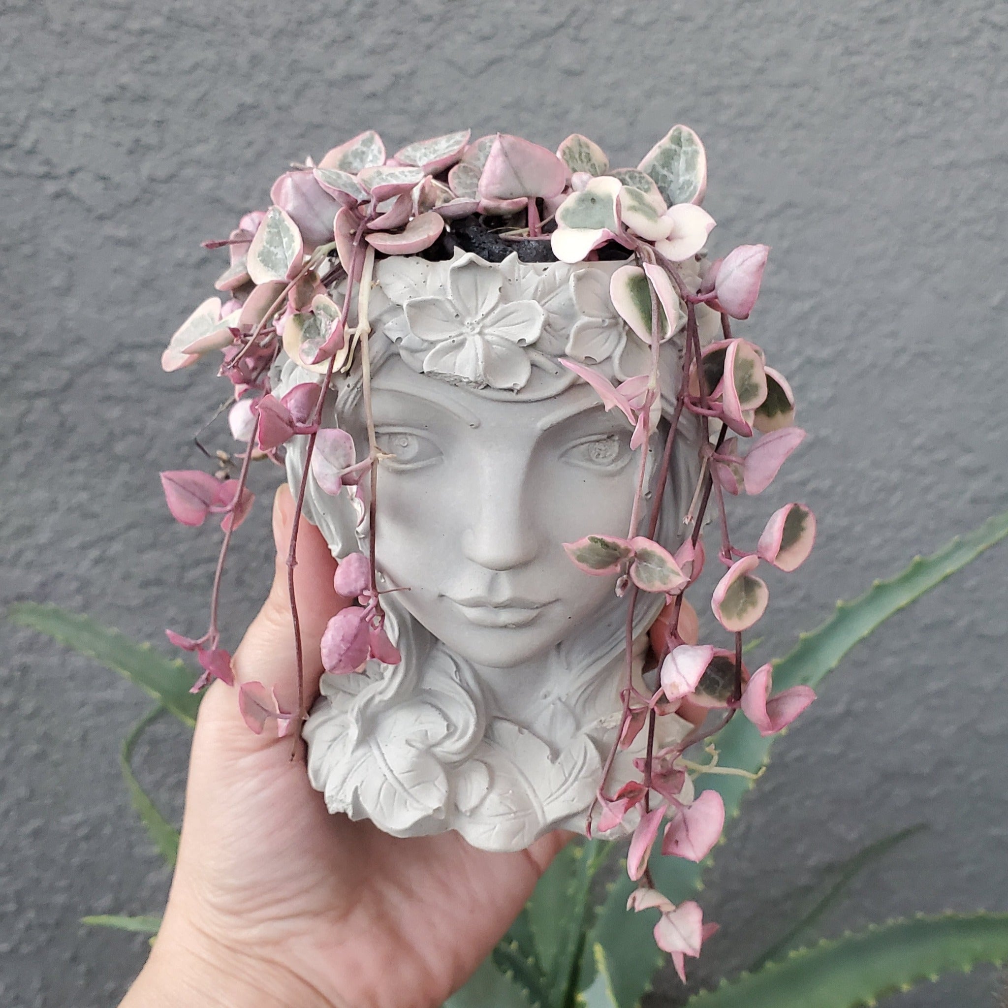 Variegated String of Hearts' Trellis Goddess Arrangement