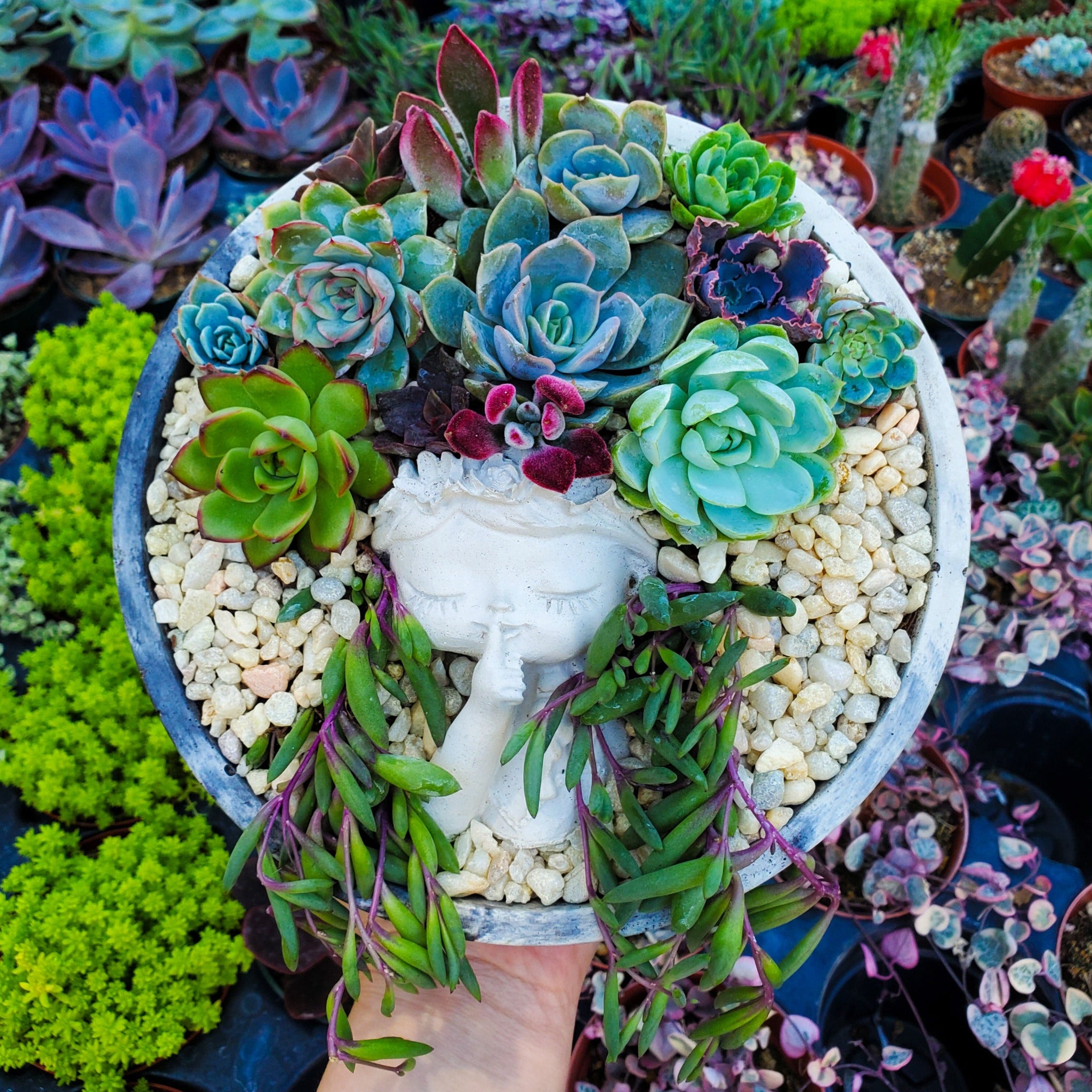 a&a succulents Large Circle Peaceful Girl Succulent Succulent Arrangement