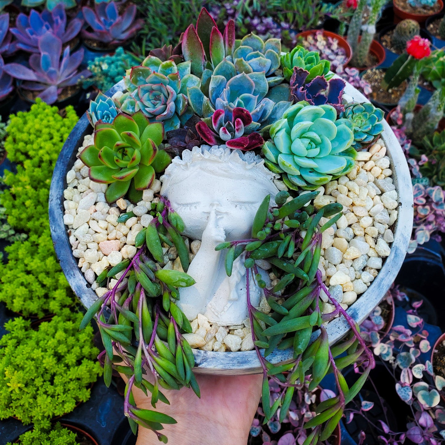 Large Circle Peaceful Girl Succulent Arrangement