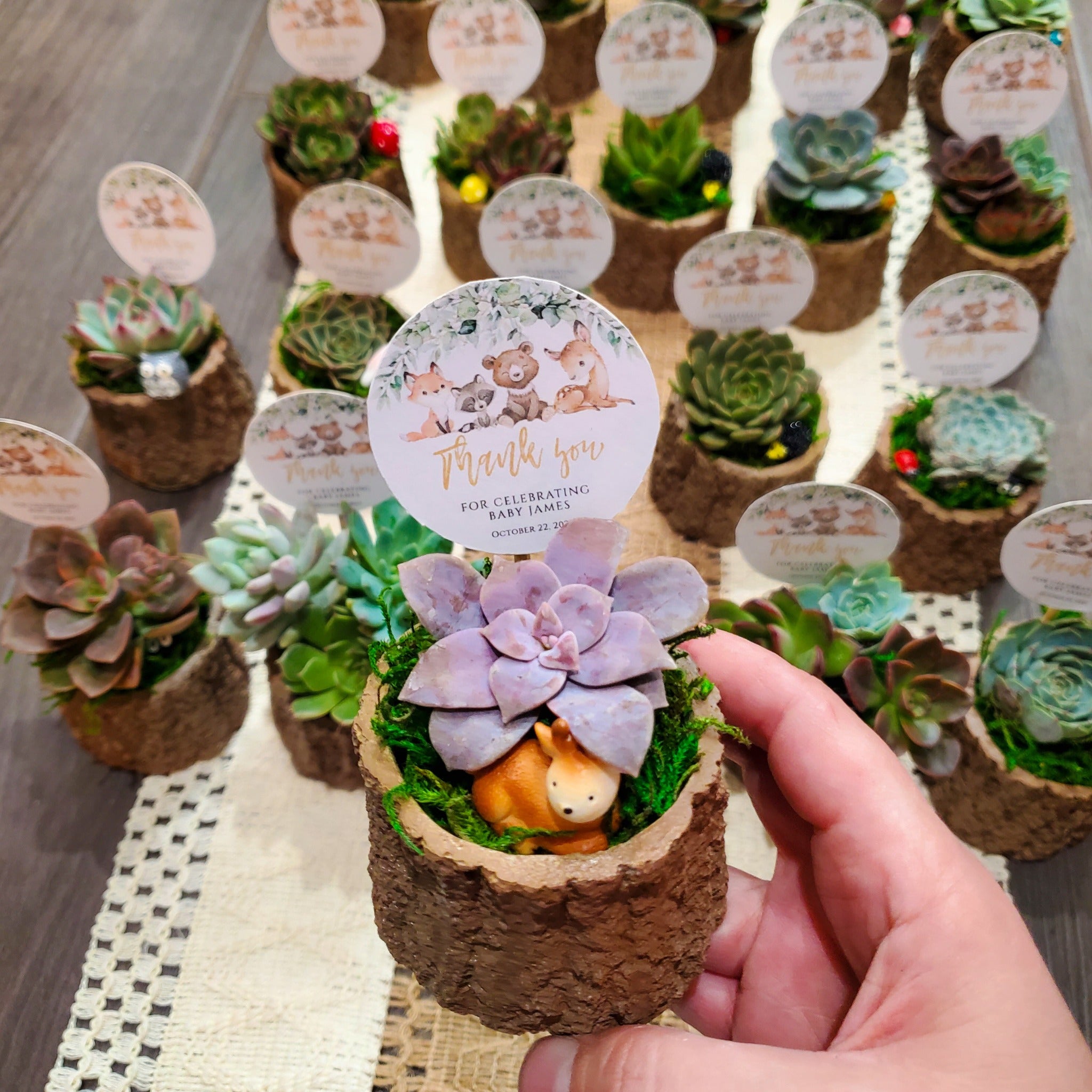 Woodland Themed Succulent Favors - Main Image