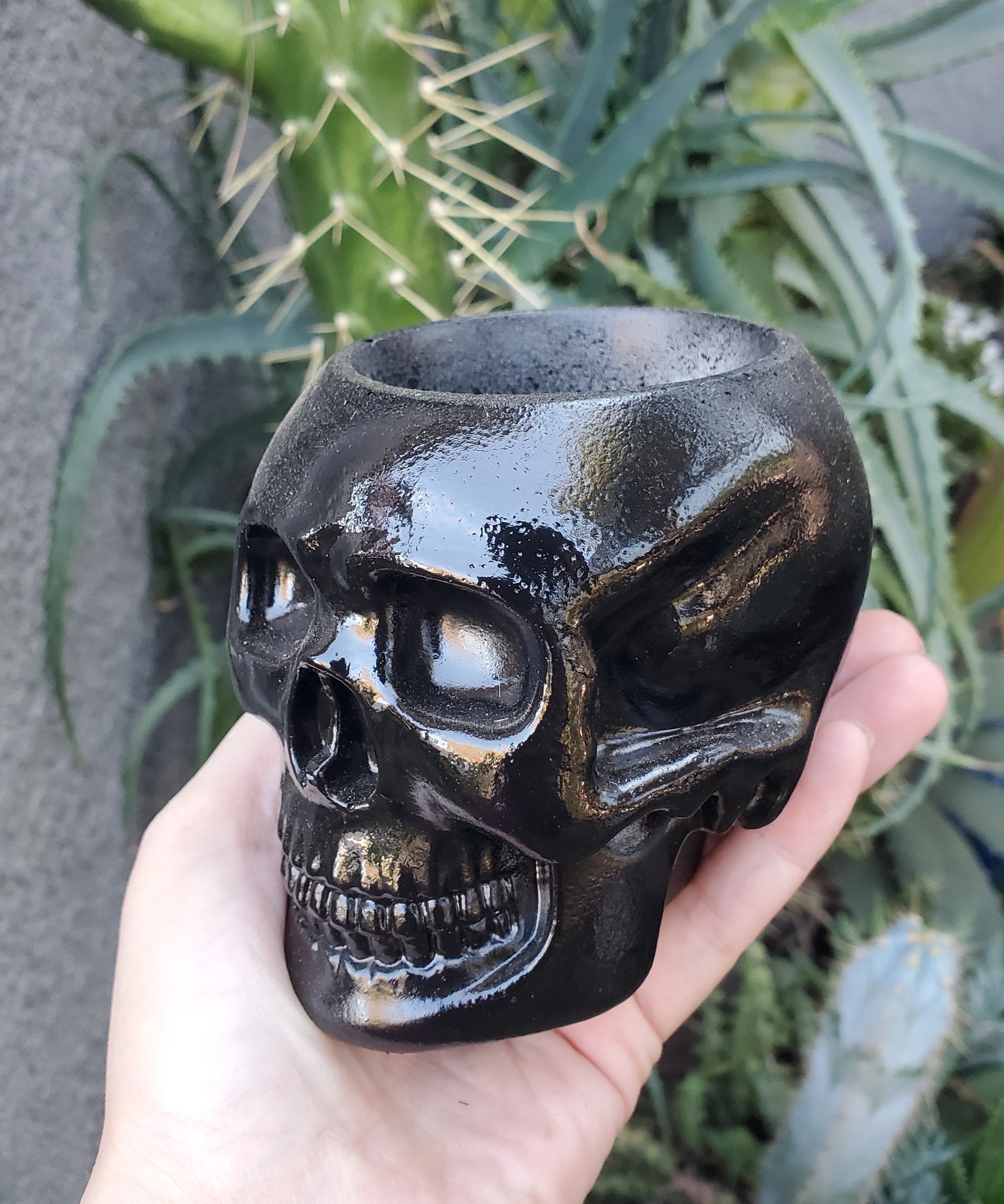 brain succulent in skull 'Brain Cactus' Skull Arrangement