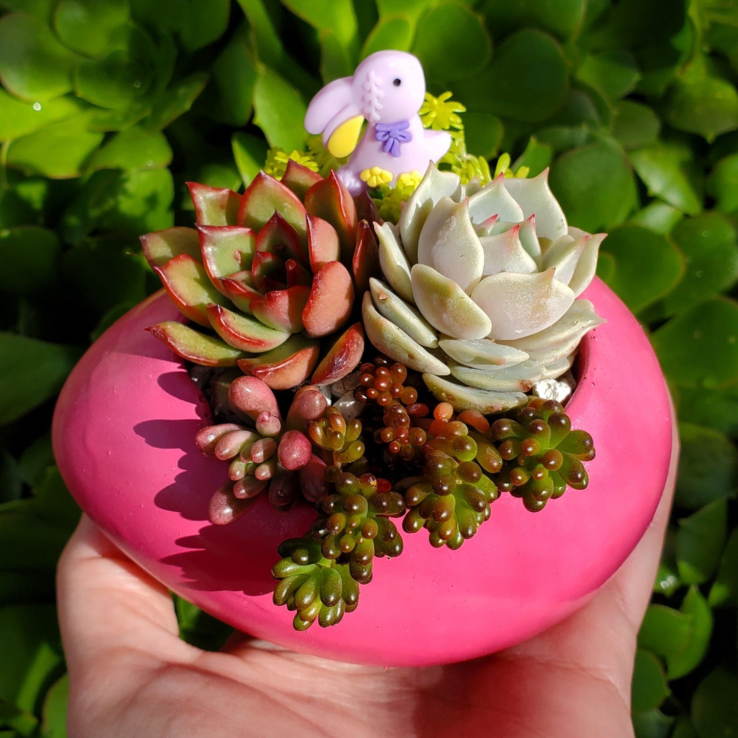 Succulent Easter Egg Arrangement