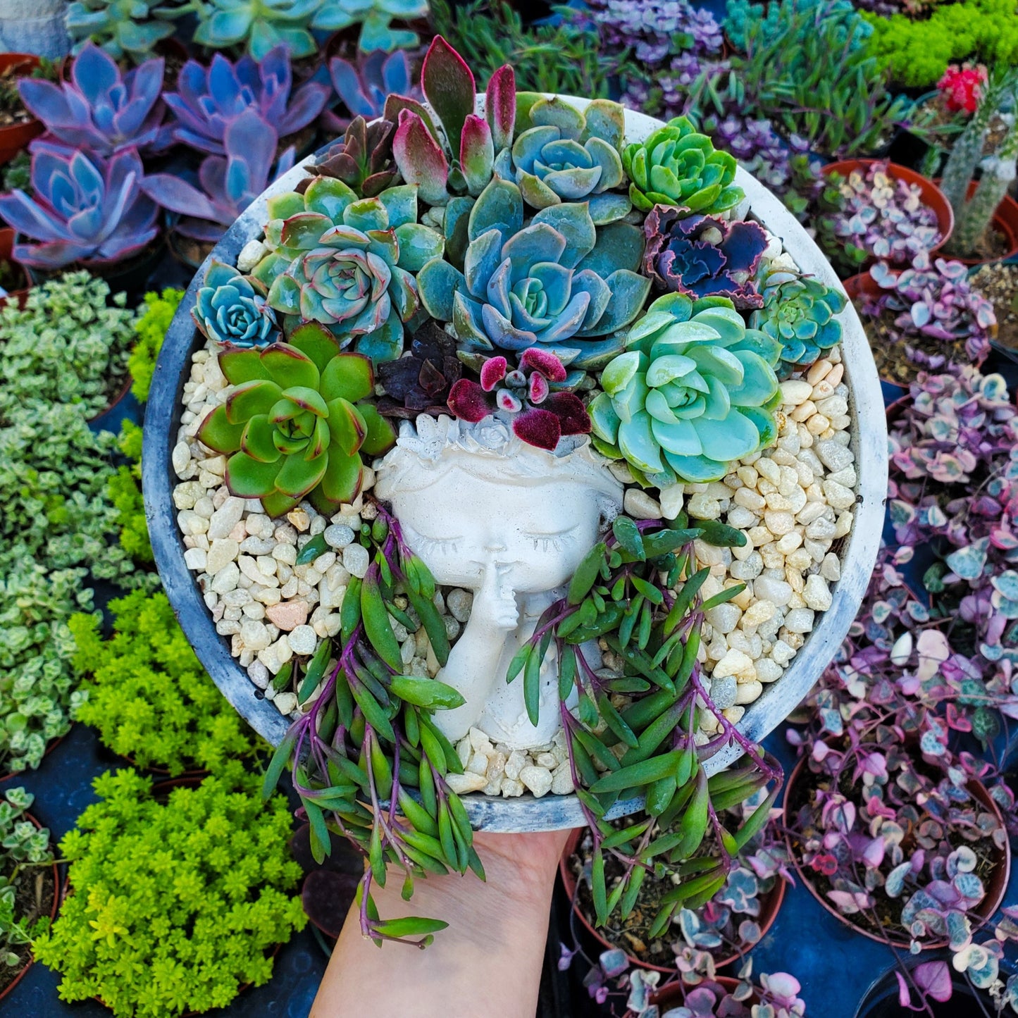 Large Circle Peaceful Girl Succulent Arrangement