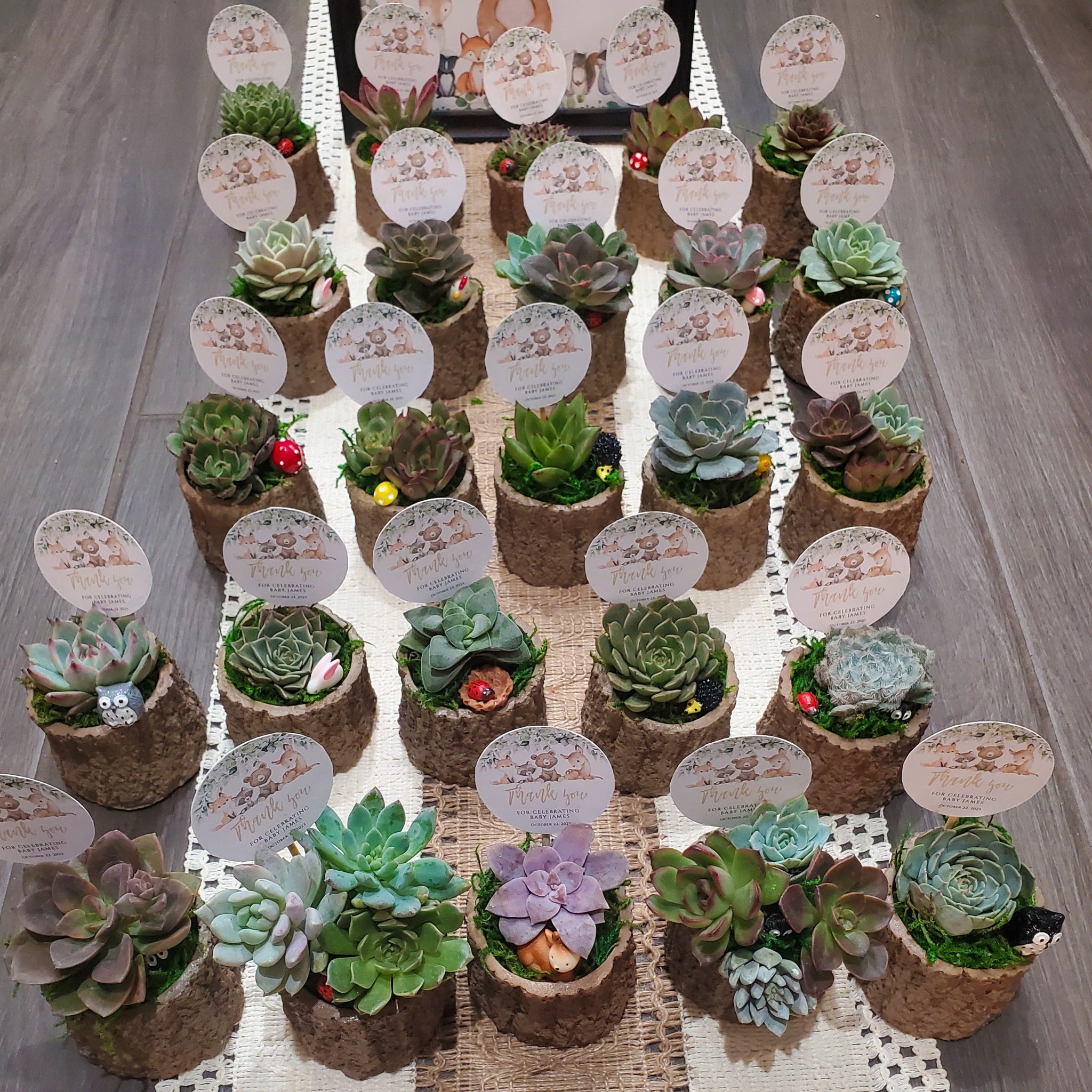 succulent party favours Woodland Themed Succulent Favors