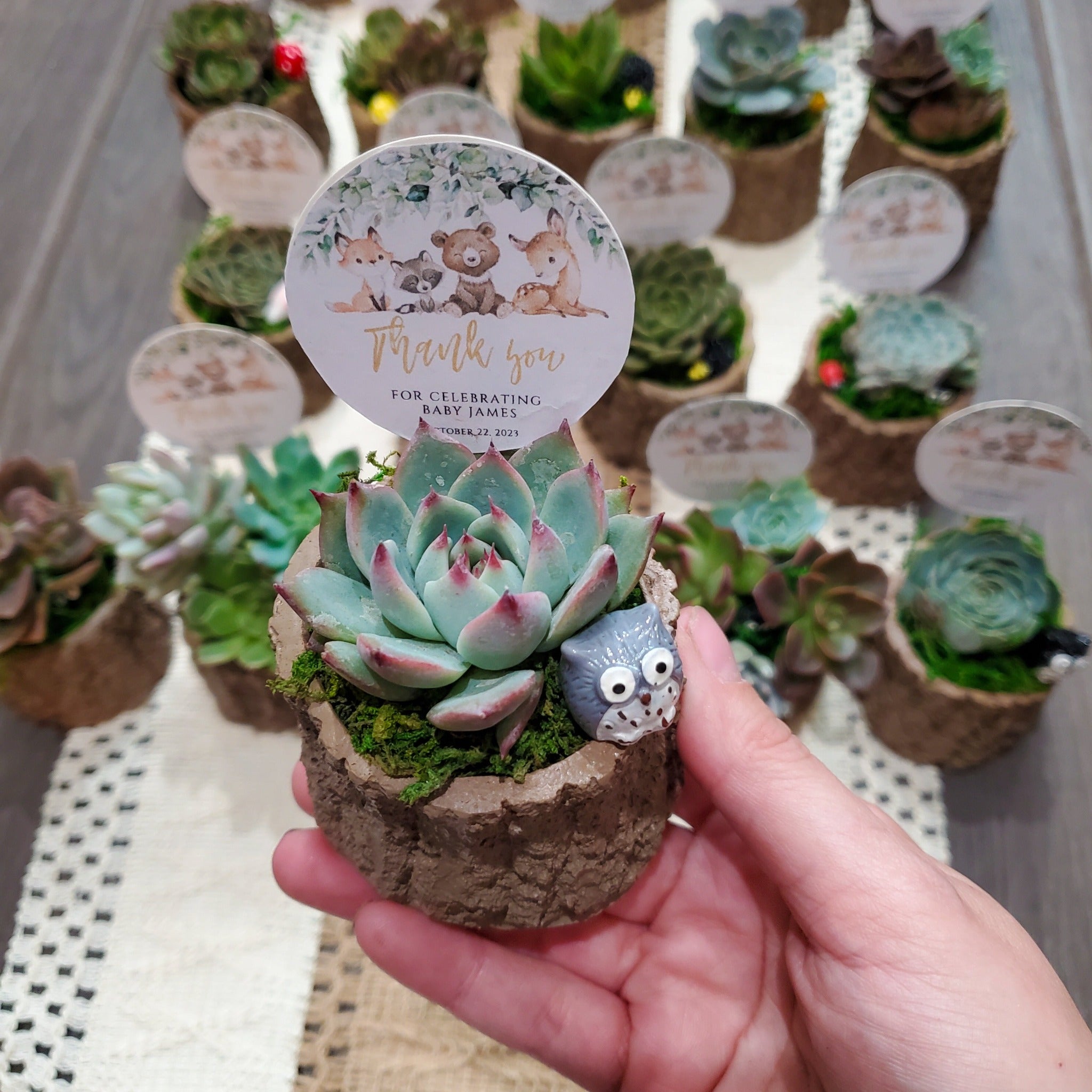 succulent subscription service Woodland Themed Succulent Favors