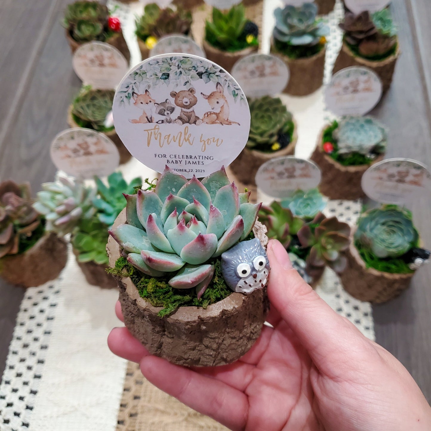 Woodland Themed Succulent Favors