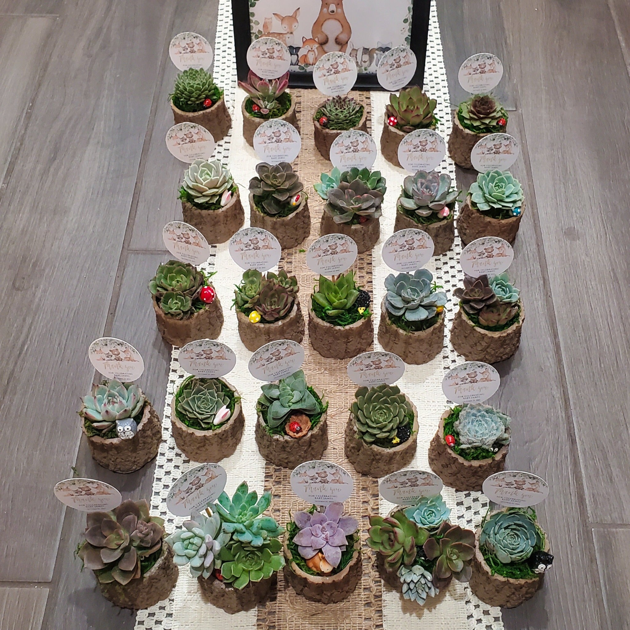 succulent shower favors Woodland Themed Succulent Favors