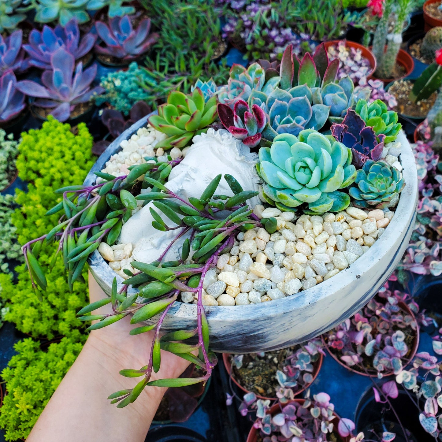 Large Circle Peaceful Girl Succulent Arrangement