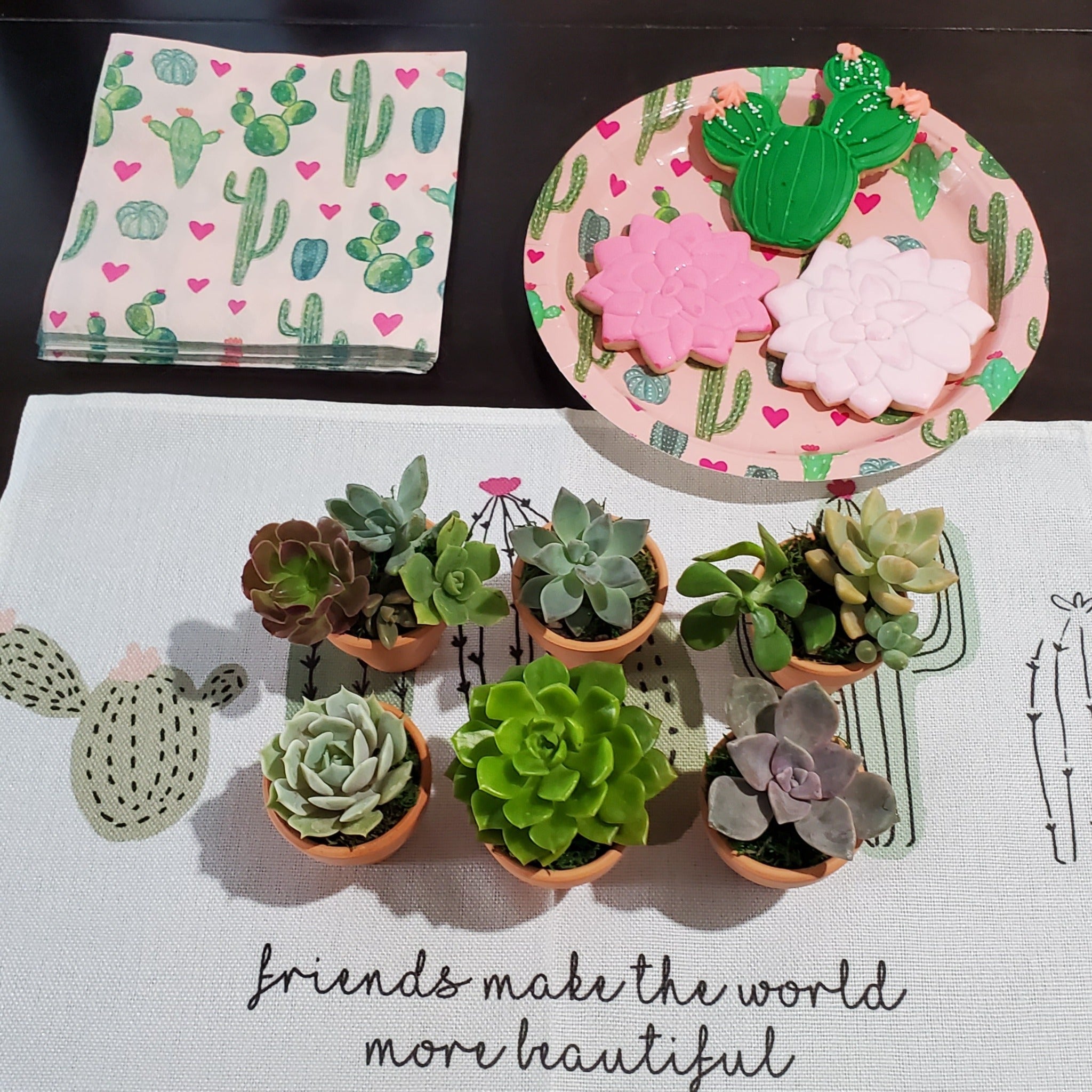 succulent terracotta pots Succulent Favors in Mini Terracotta Pots