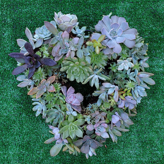 Felicity Heart Wreath
