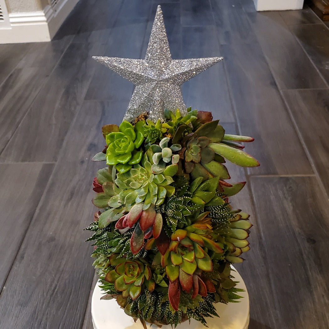 Large Succulent Trimmed Christmas Tree