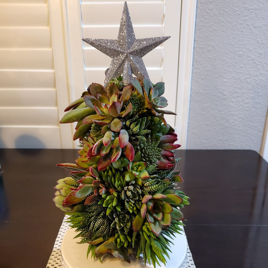 xmas succulent ideas Large Succulent Trimmed Christmas Tree