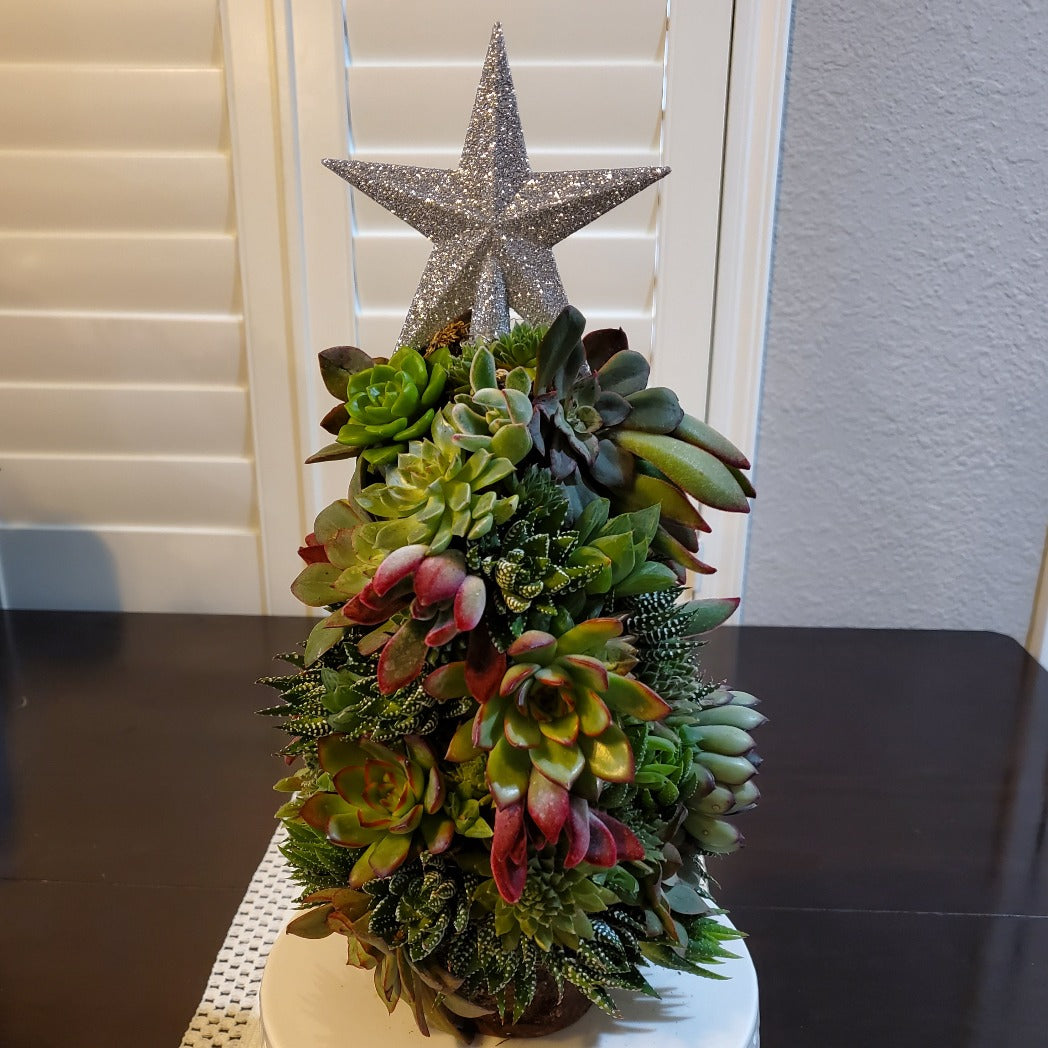 Large Succulent Trimmed Christmas Tree