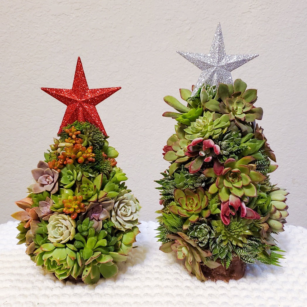 succulent christmas trees Large Succulent Trimmed Christmas Tree